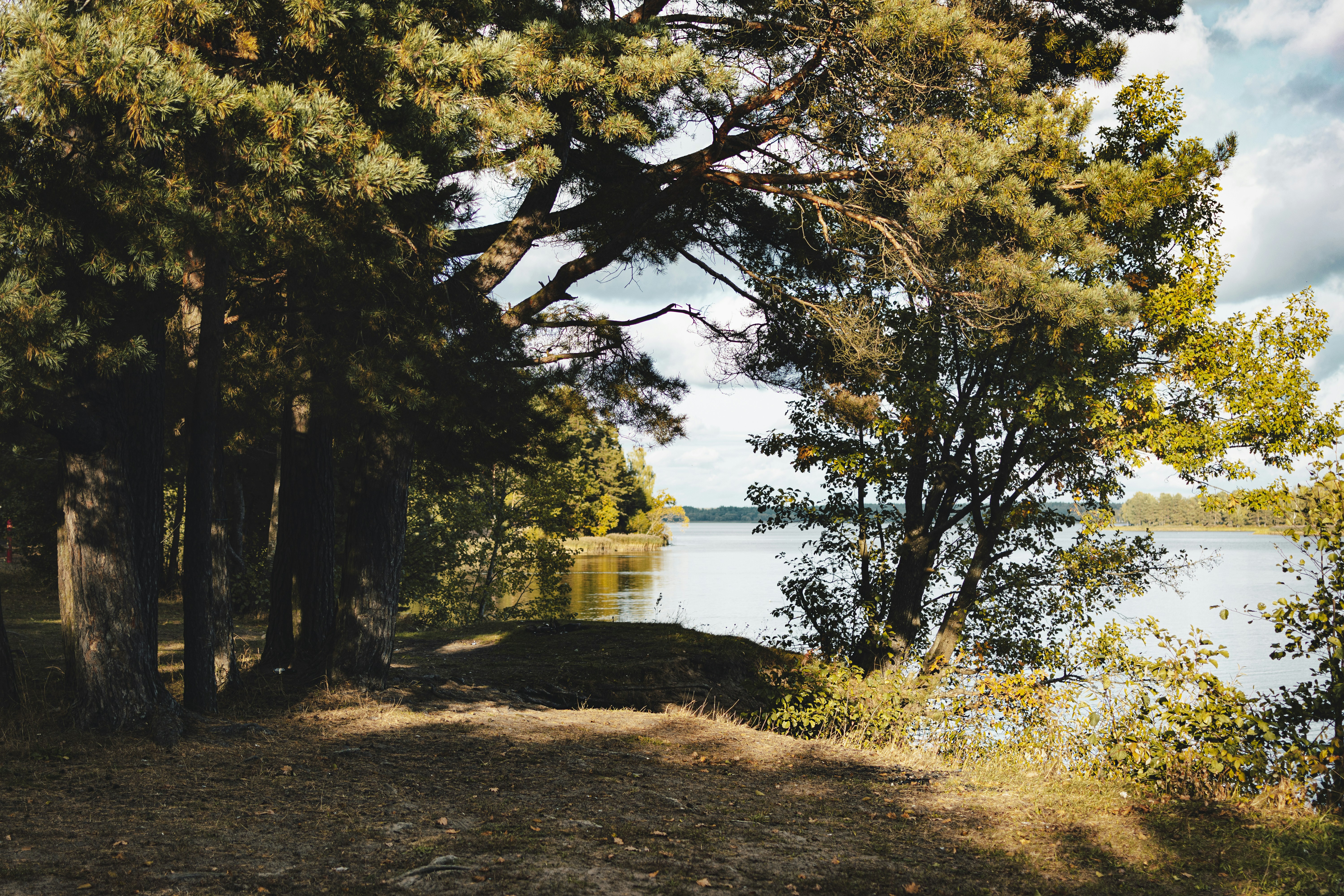 Photo by eadutskevich