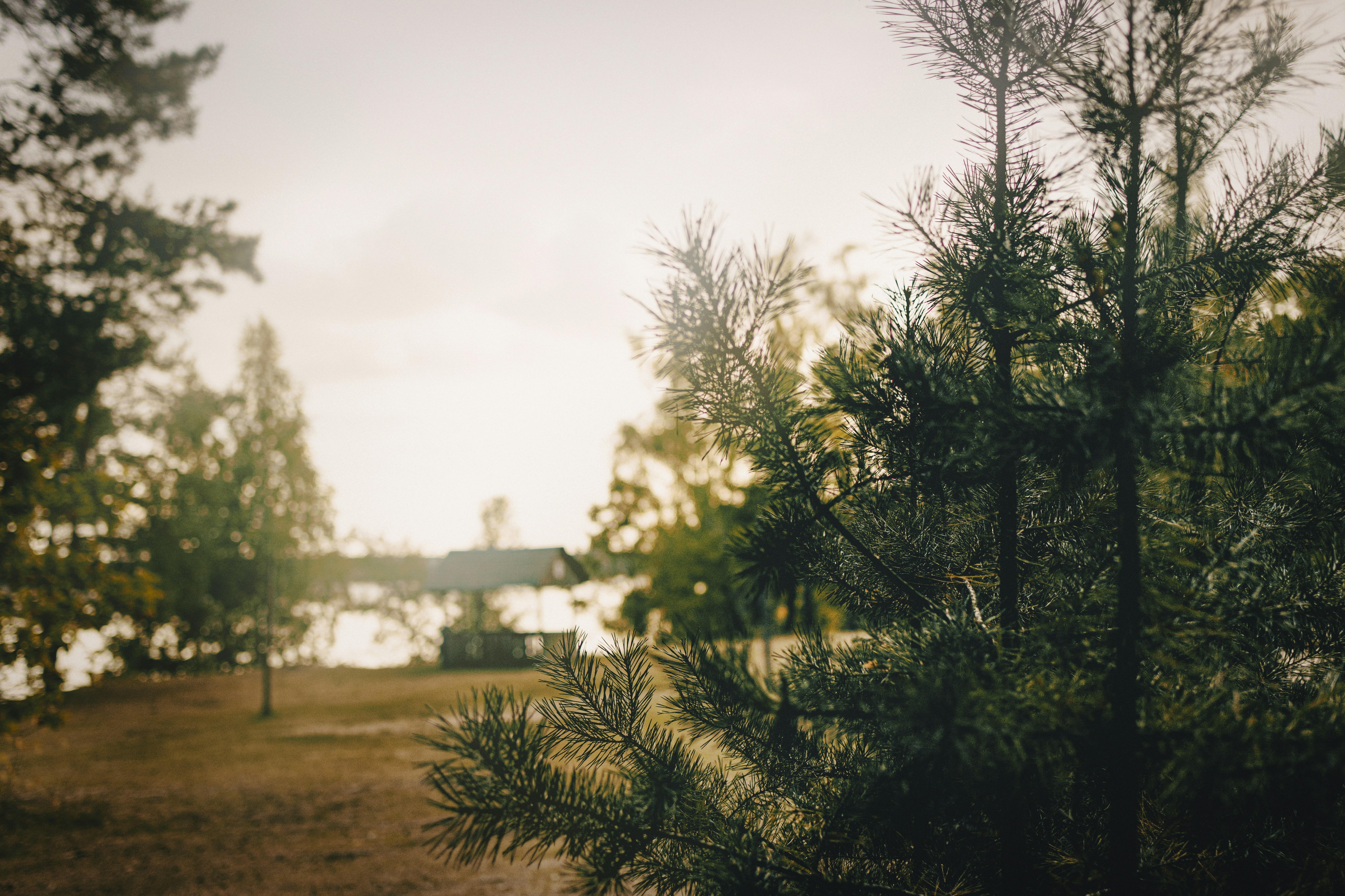 Photo by eadutskevich