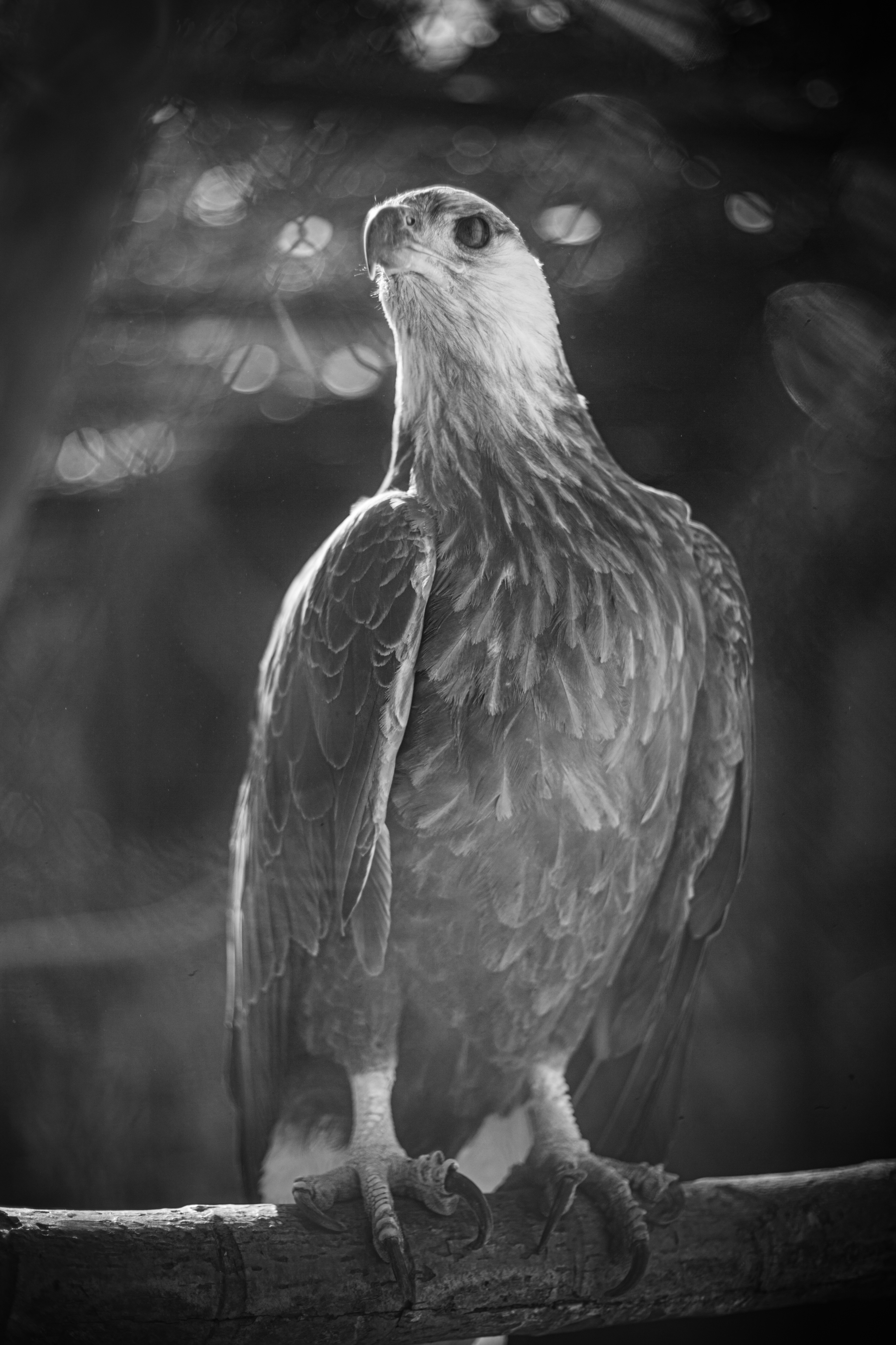 Photo by alekseyryan