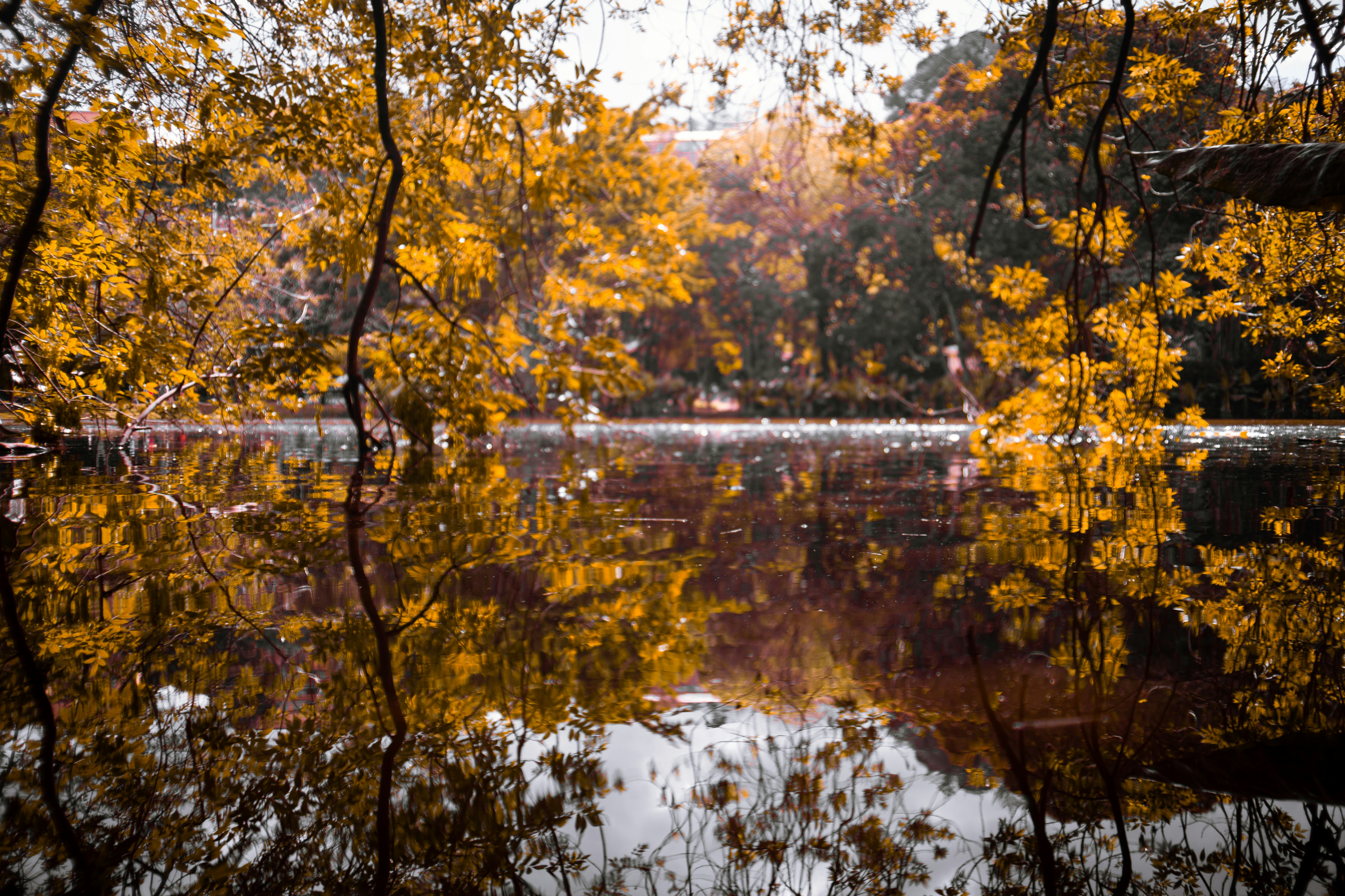 Photo by alekseyryan