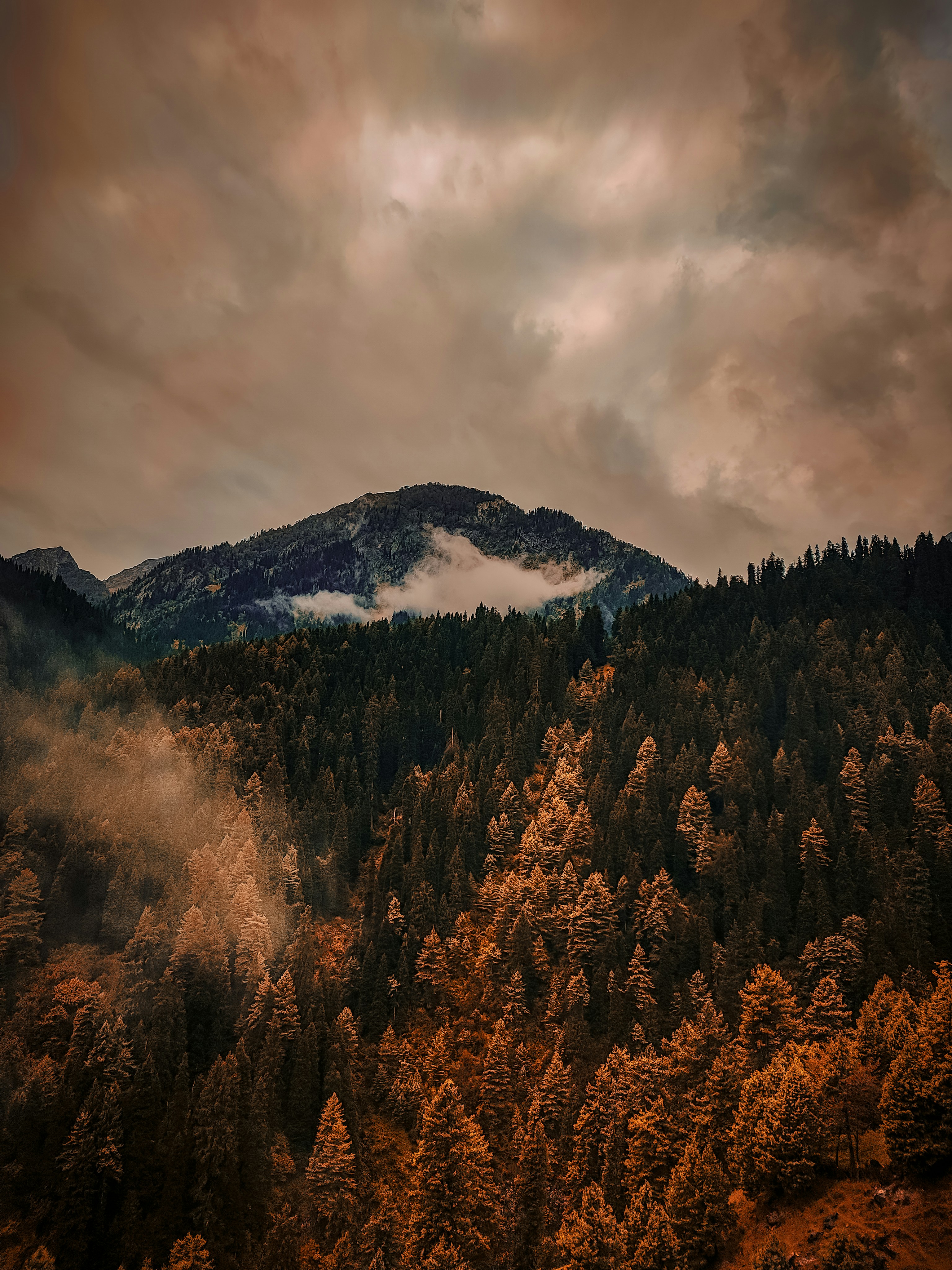 Photo by themirsuhail