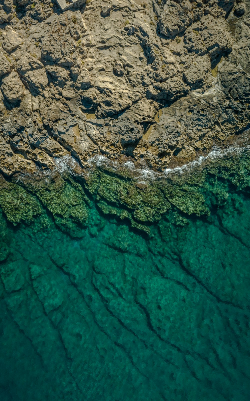 a close-up of a rock