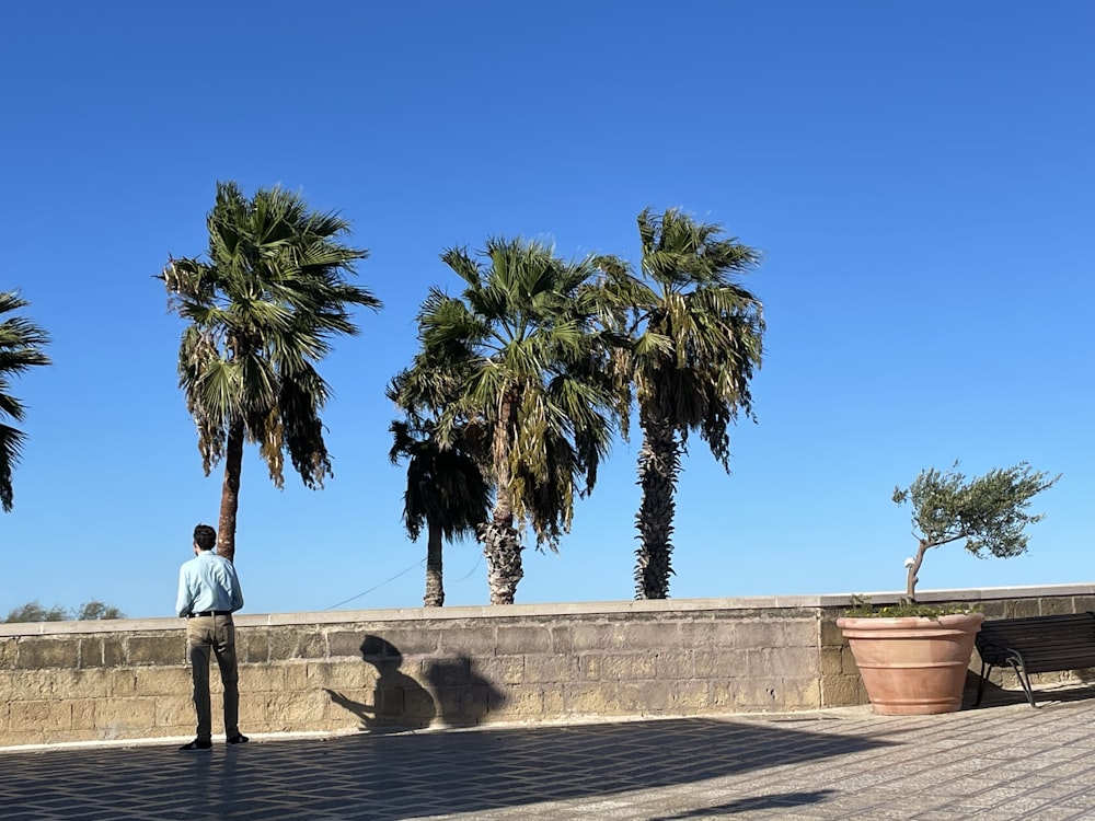 a man standing on a wall with palm trees and a blue sky