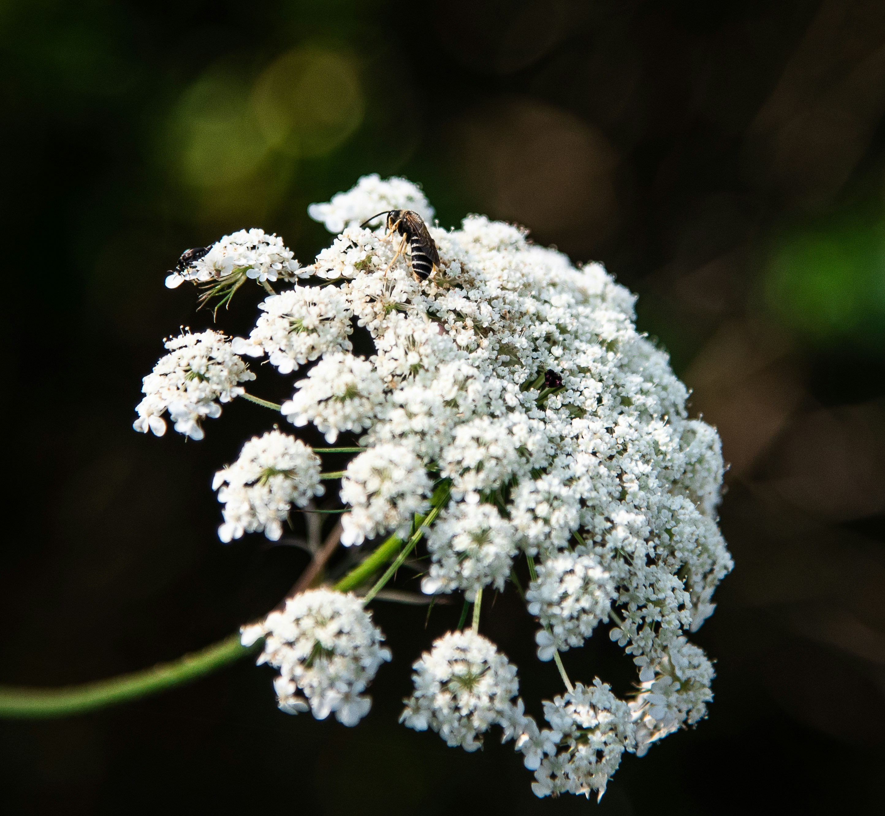 Photo by zerojquan85