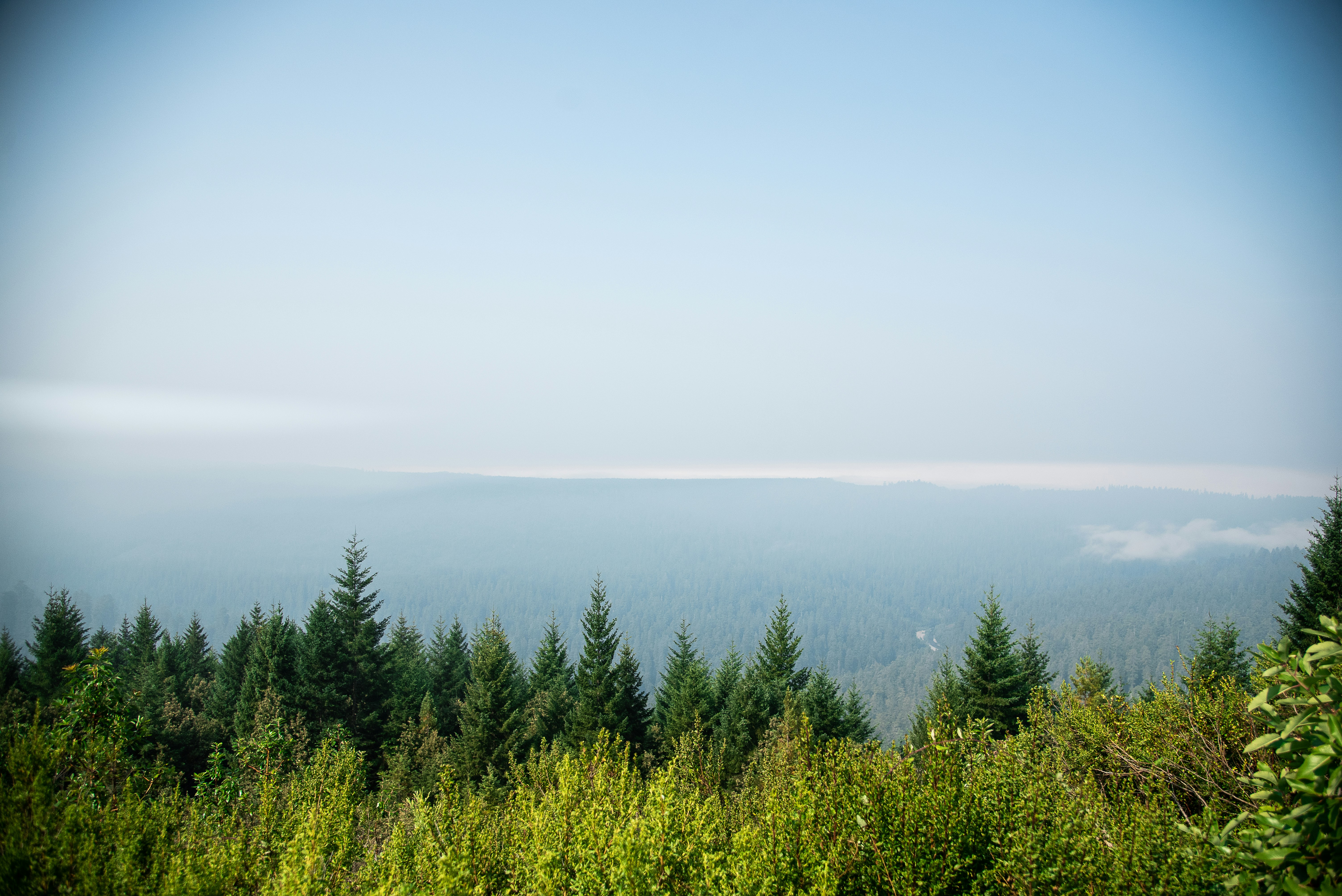 Photo by zerojquan85