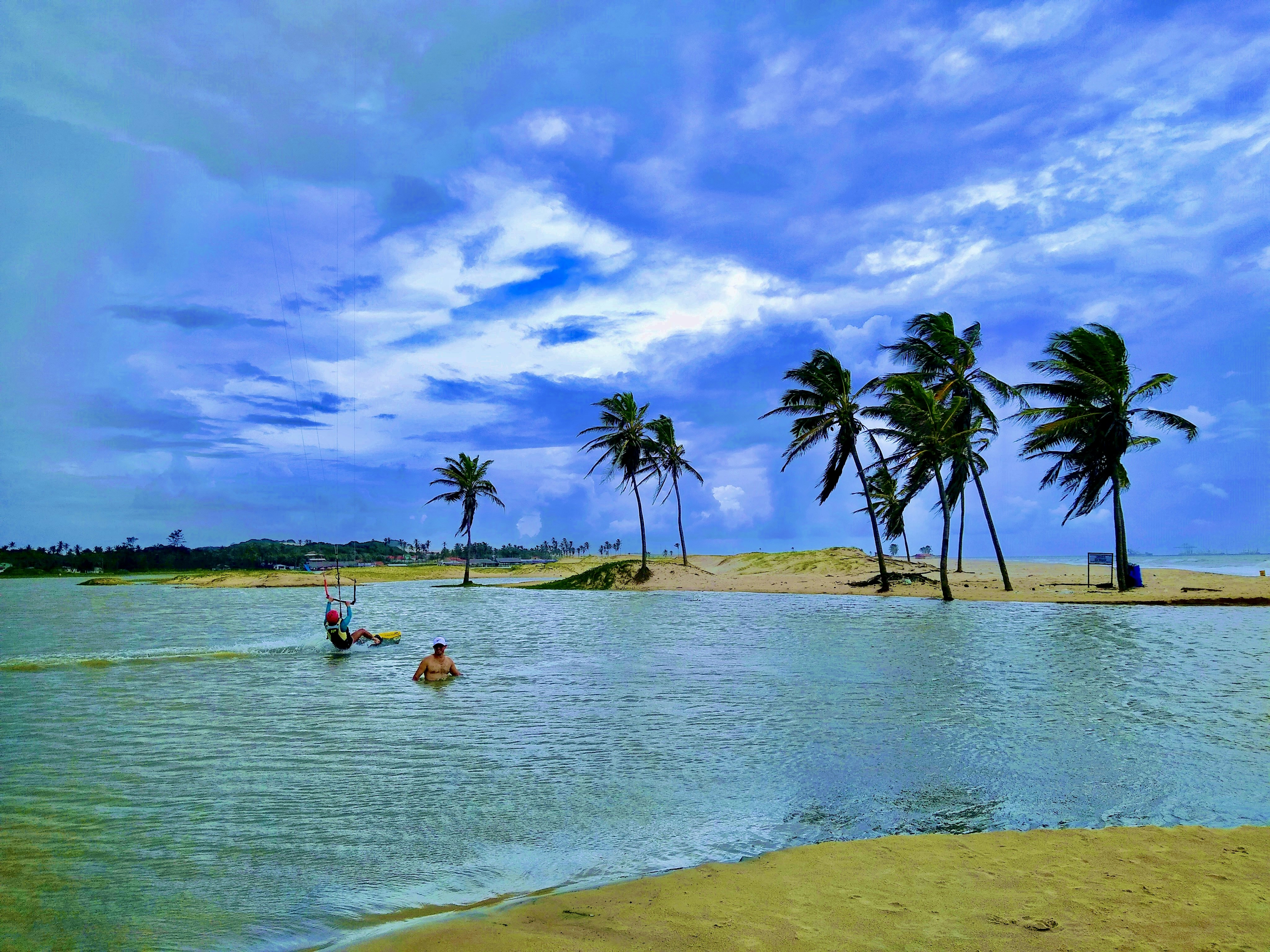 a group of people swimming in a body of water with palm trees