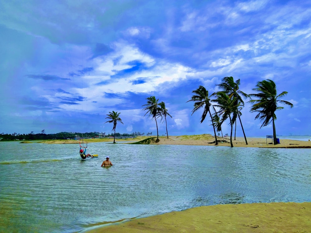 a group of people swimming in a body of water with palm trees