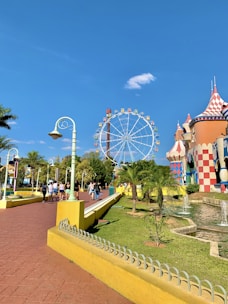 a ferris wheel in a park