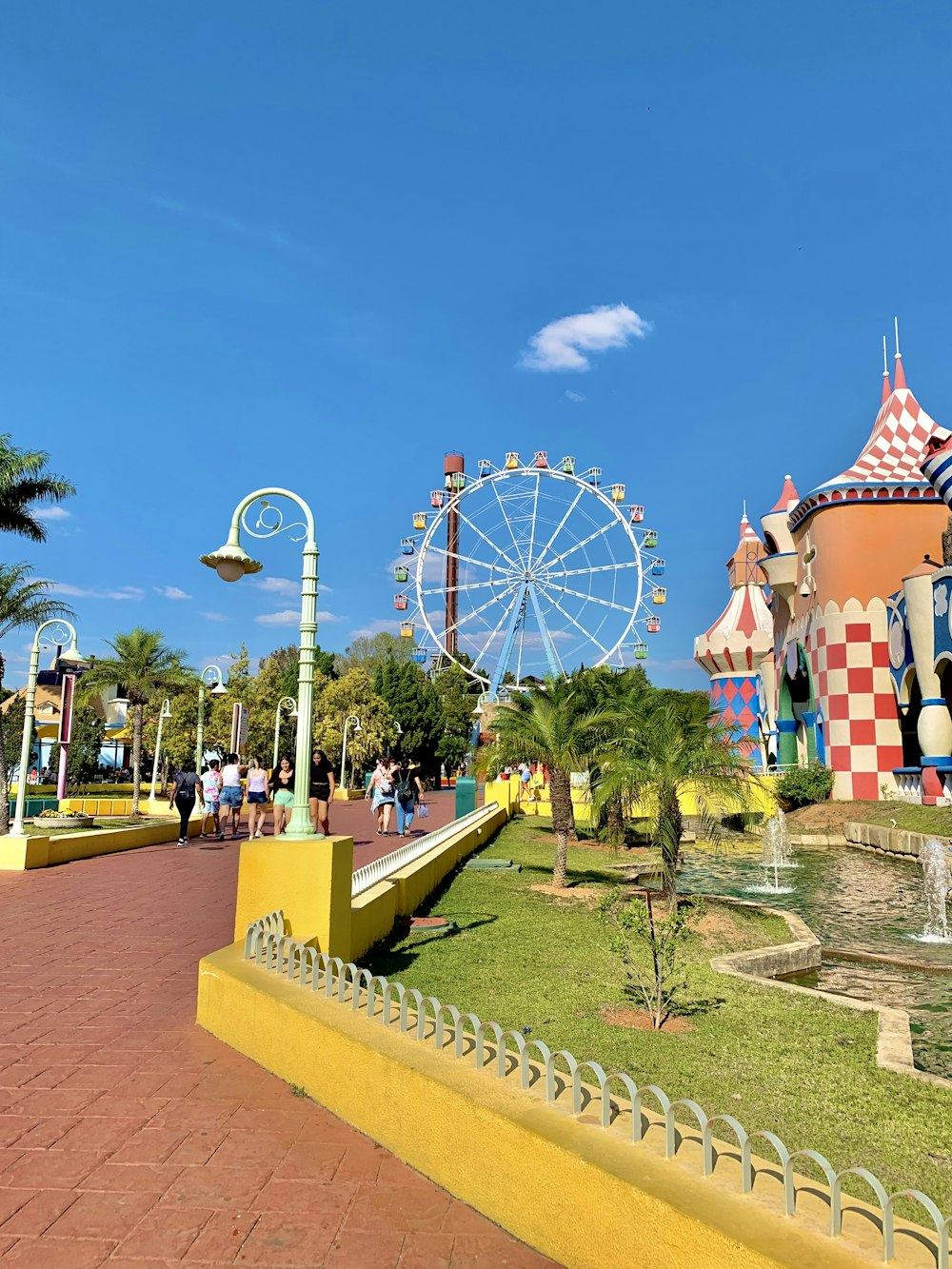 Une grande roue dans un parc