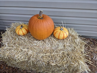a group of pumpkins in a pile of hay