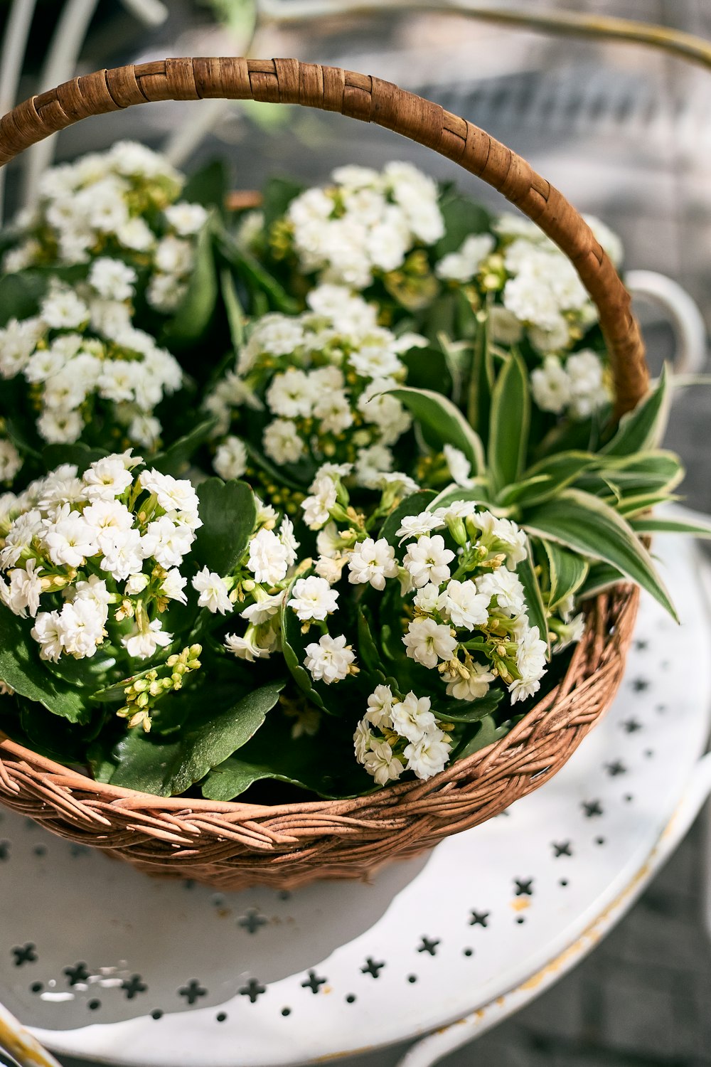 a basket of white flowers