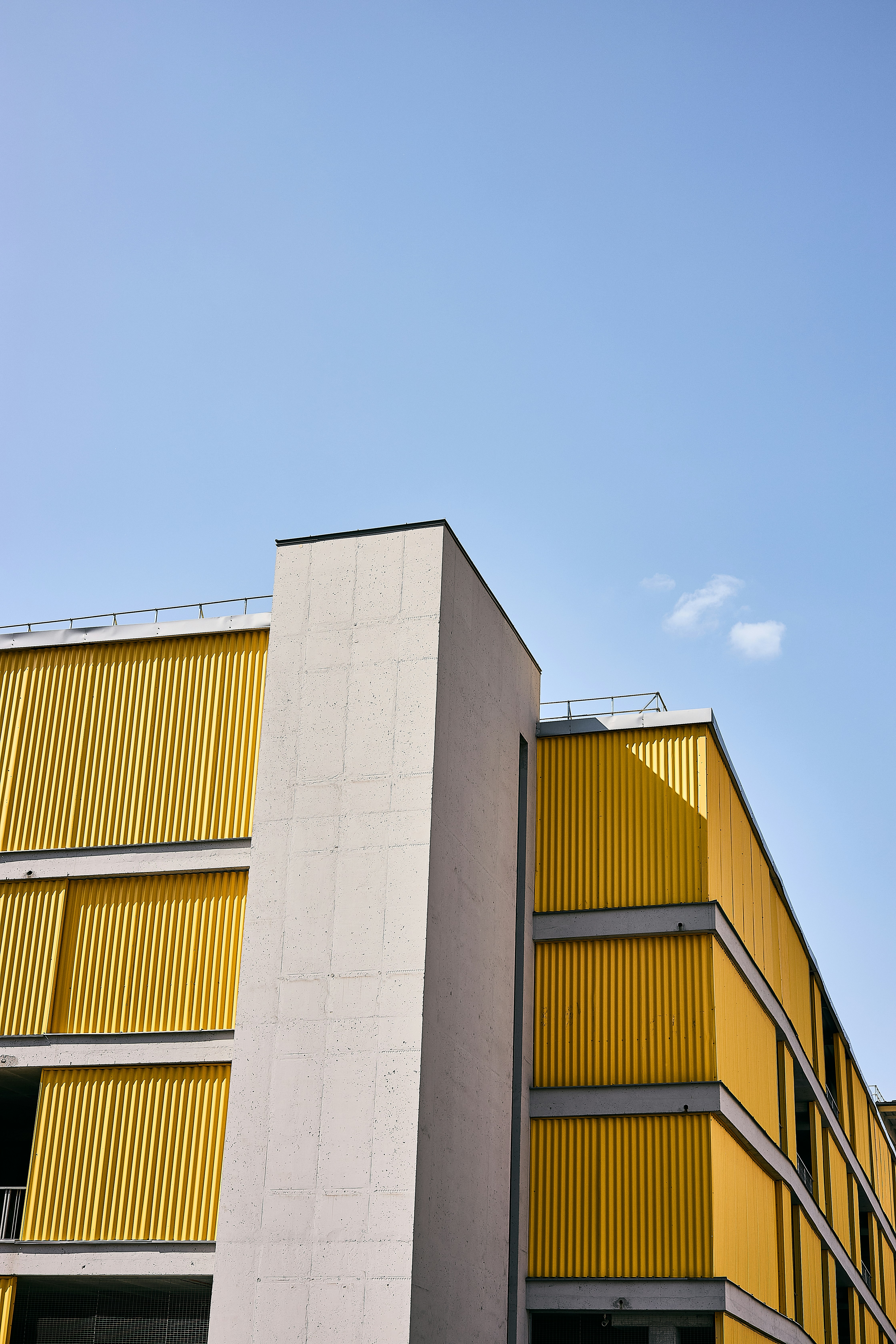 Photo by ann_leo_photo