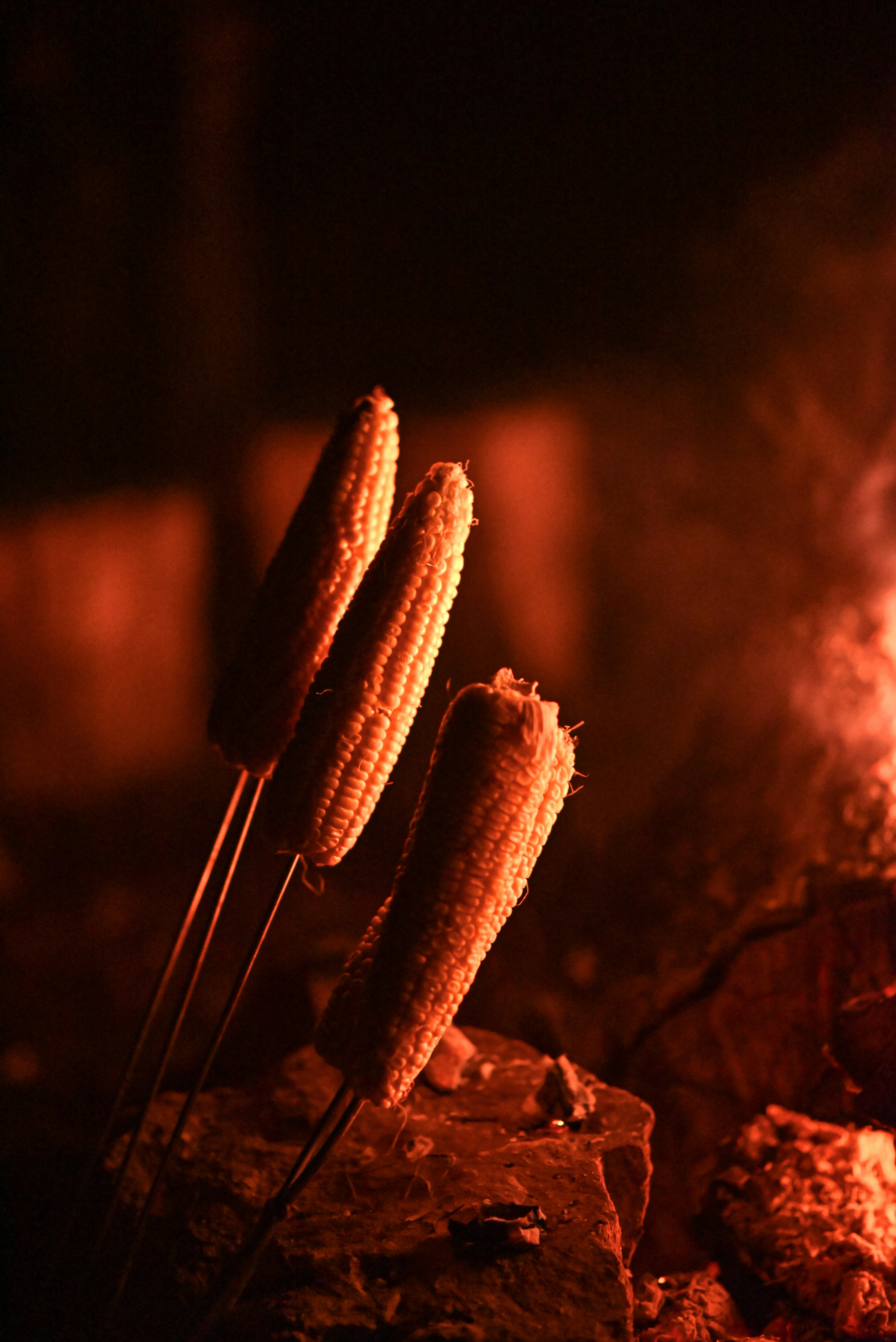 a close up of a red and black mushroom