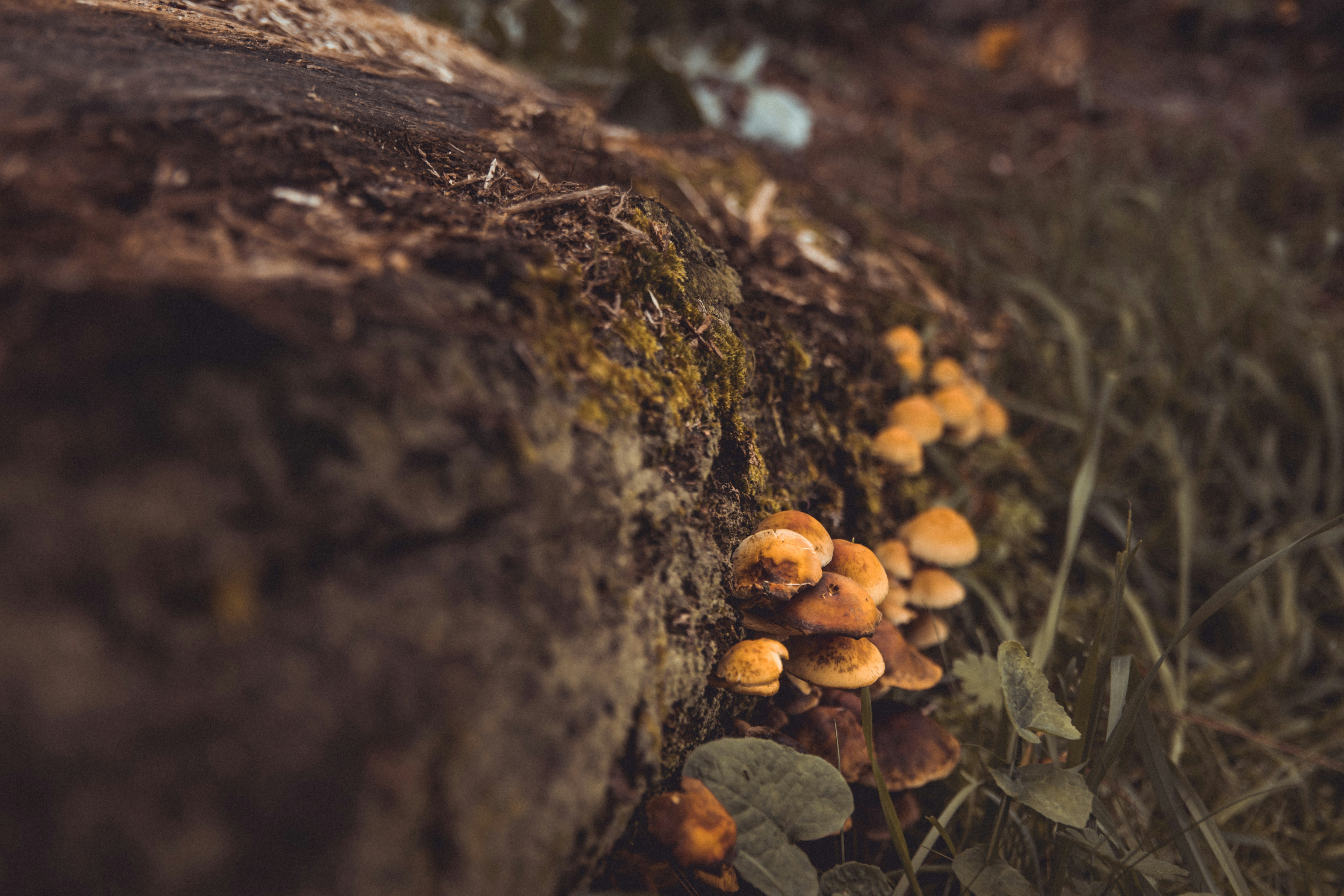 Photo by brunogarcia