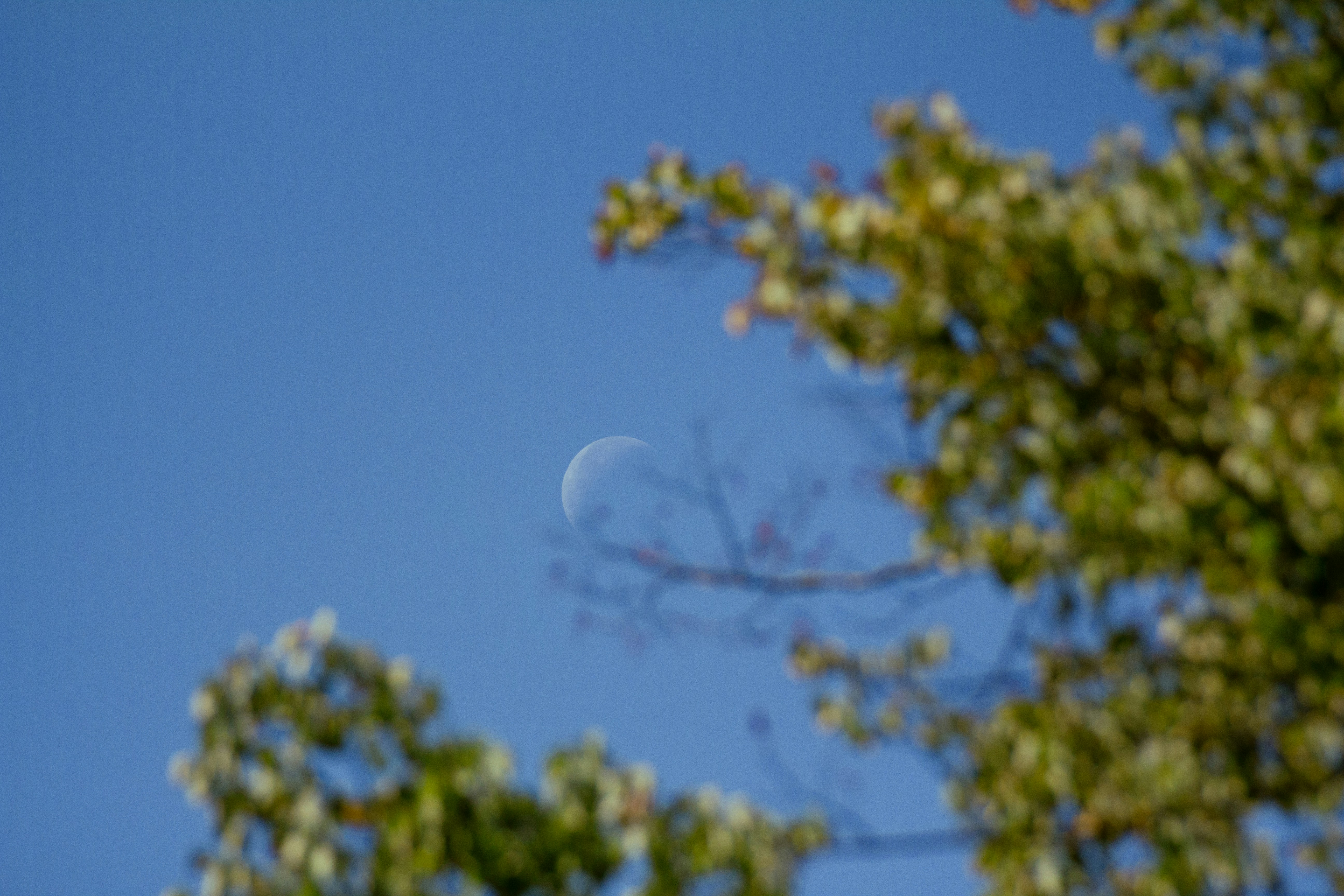 The Limits of Scientific Measurement (image credits: unsplash)