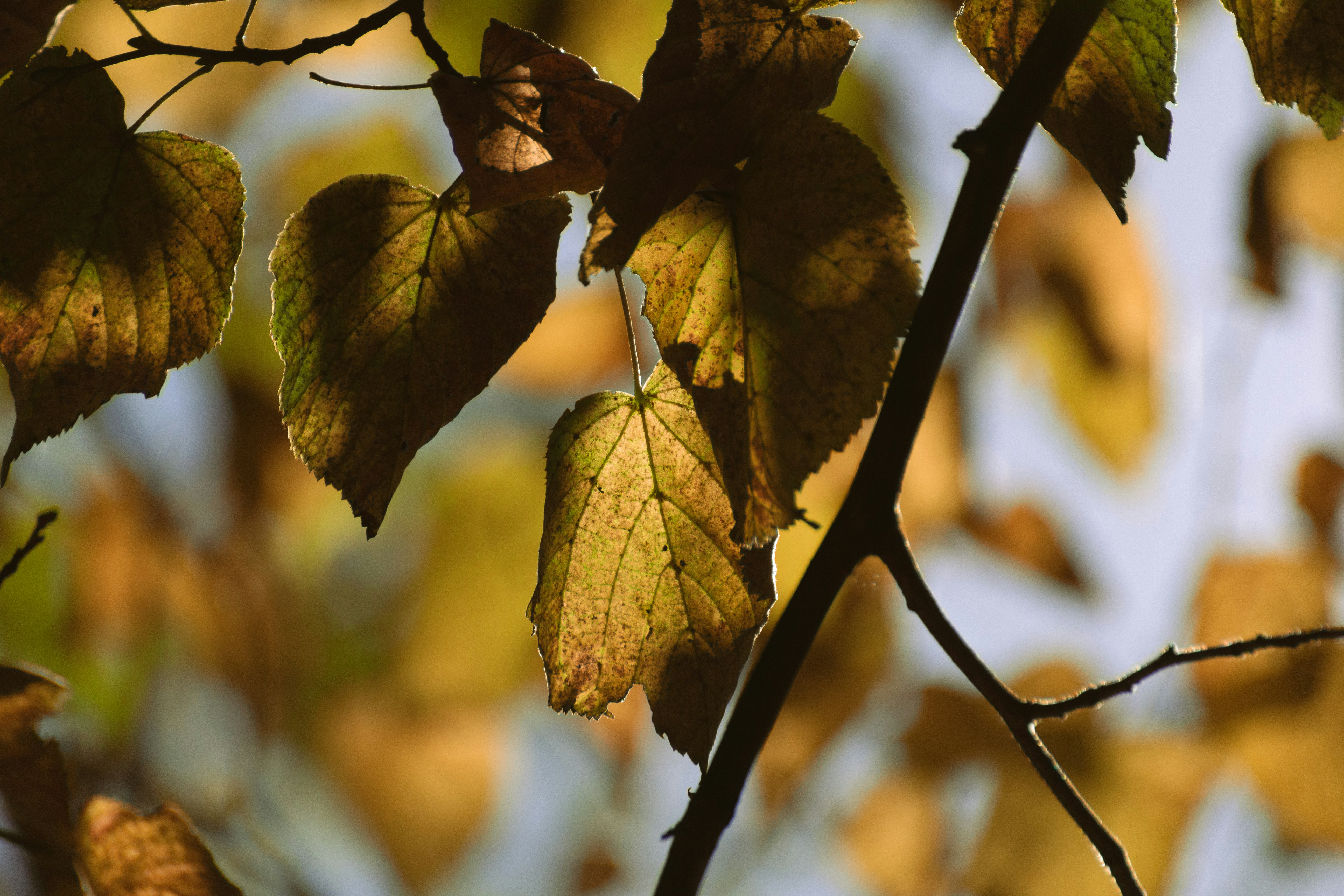 Photo by janwalterluigi