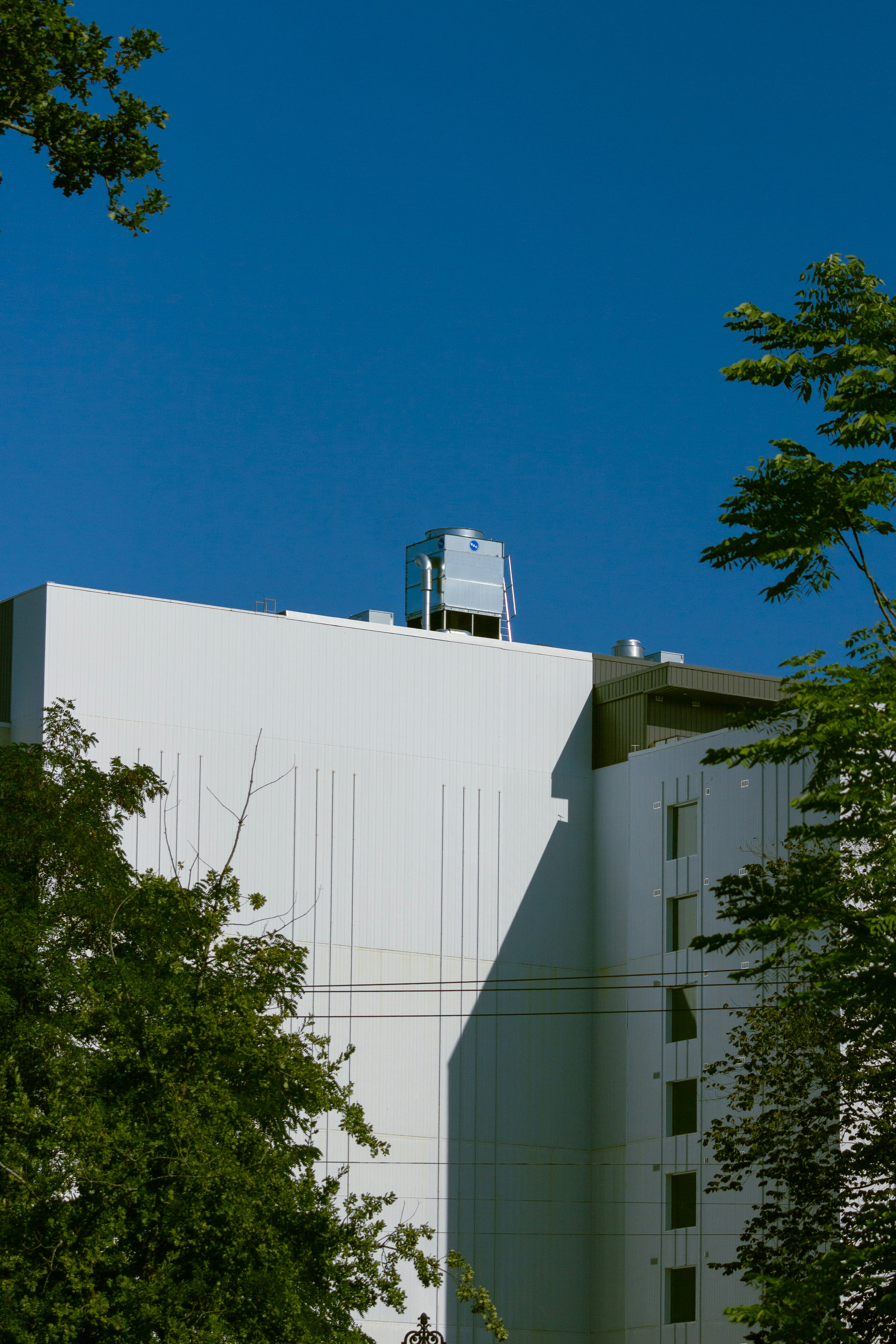 Photo by janwalterluigi