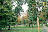 A lush park filled with tall trees and green grass. The trees display a mix of green, brown, and orange leaves, suggesting a seasonal transition. A paved pathway winds through the park, surrounded by scattered benches and a patch of open lawn.