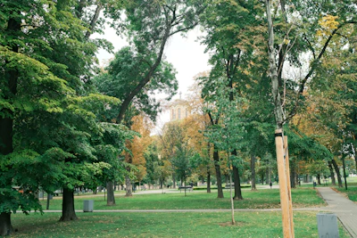 A lush park filled with tall trees and green grass. The trees display a mix of green, brown, and orange leaves, suggesting a seasonal transition. A paved pathway winds through the park, surrounded by scattered benches and a patch of open lawn.