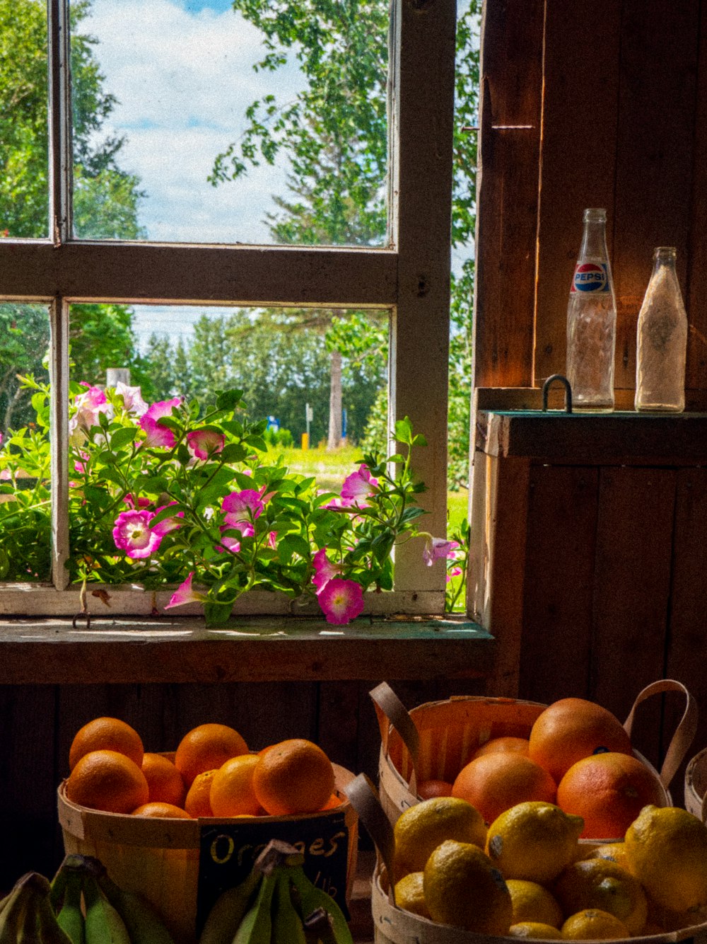 a couple of baskets full of oranges in front of a window