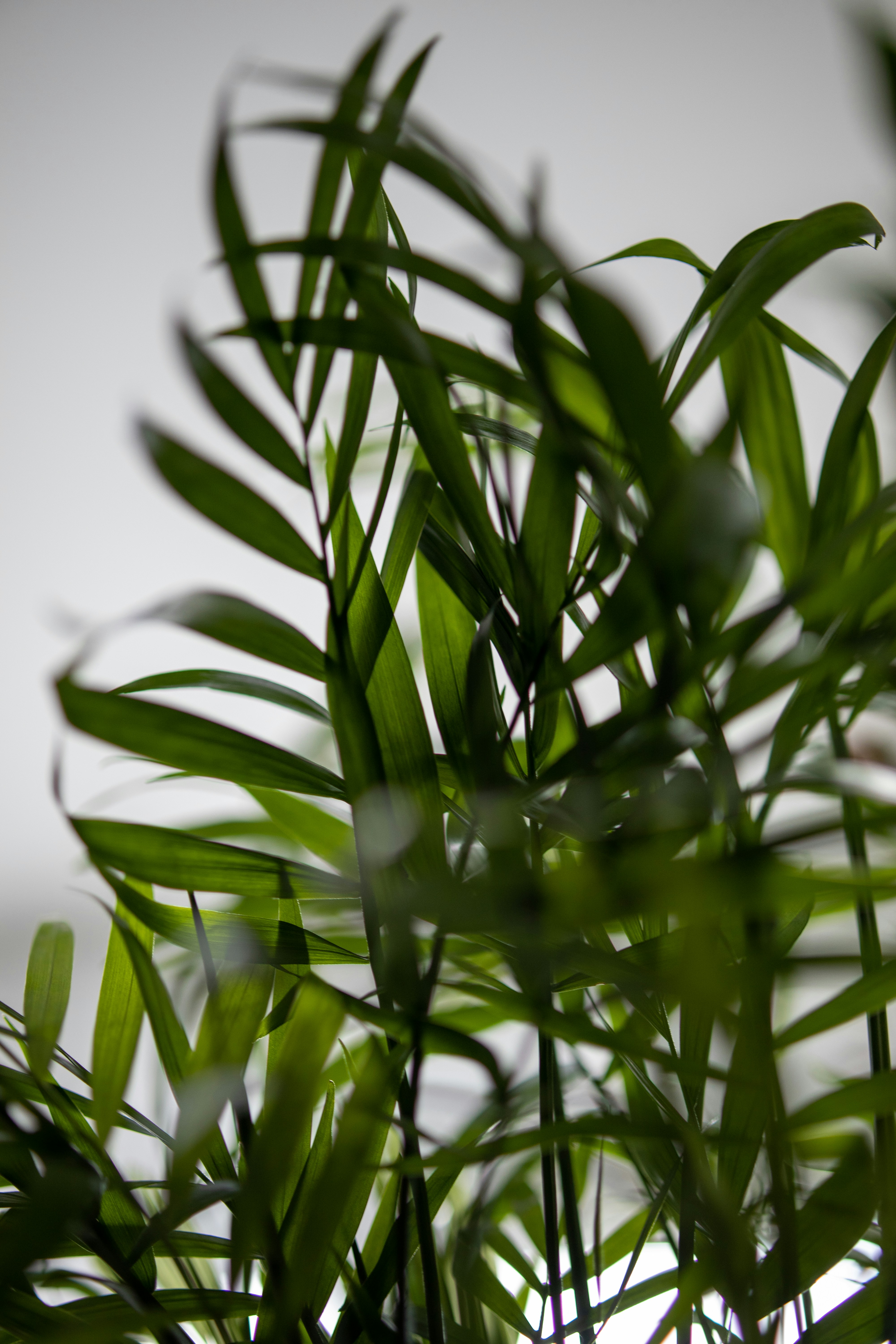 Photo by leventebagi