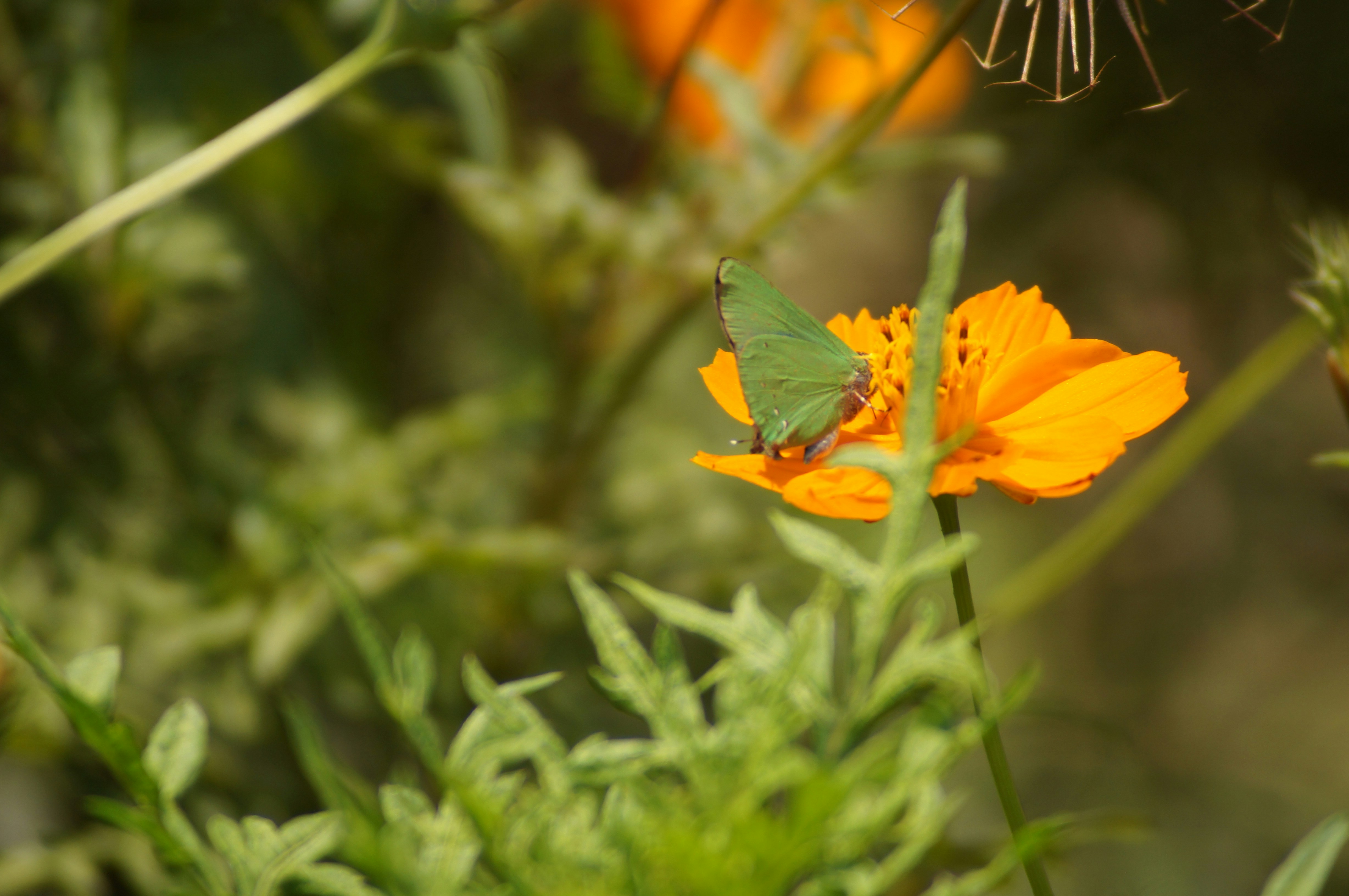 Photo by fredmachado