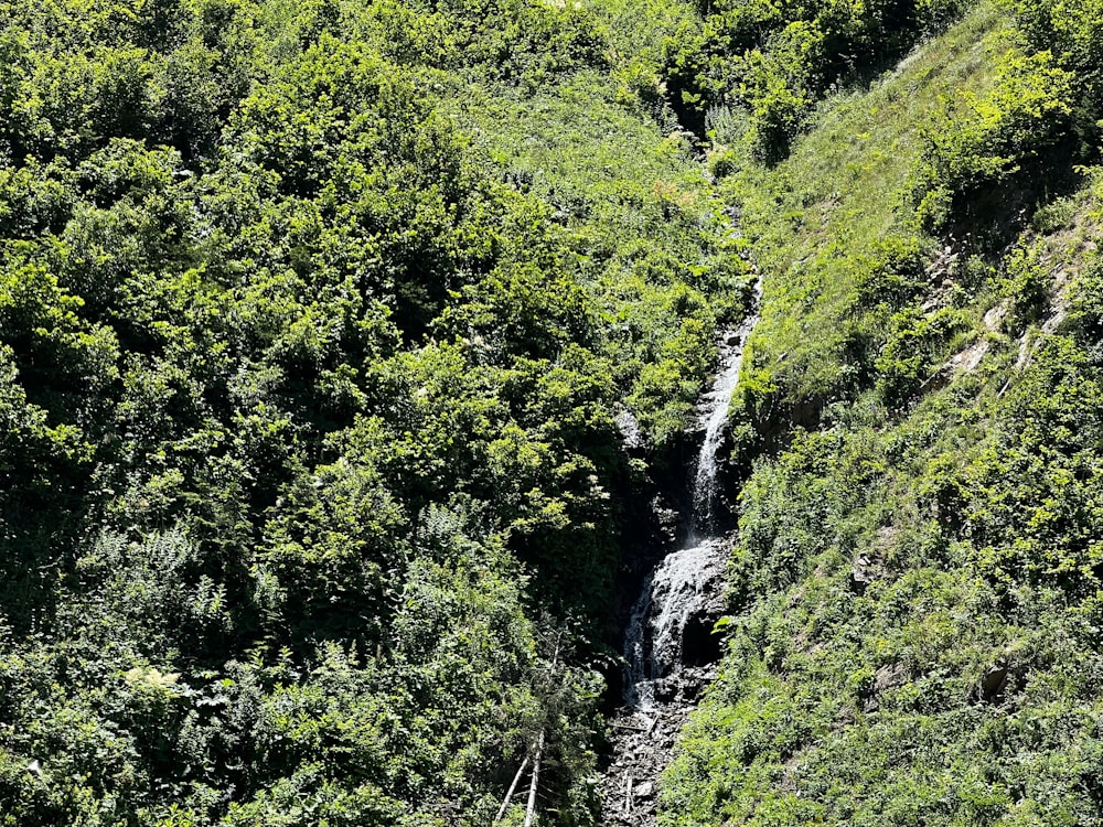 a waterfall in a forest