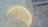 Close-up of a hand holding a frosty classic lemonade with condensation droplets.