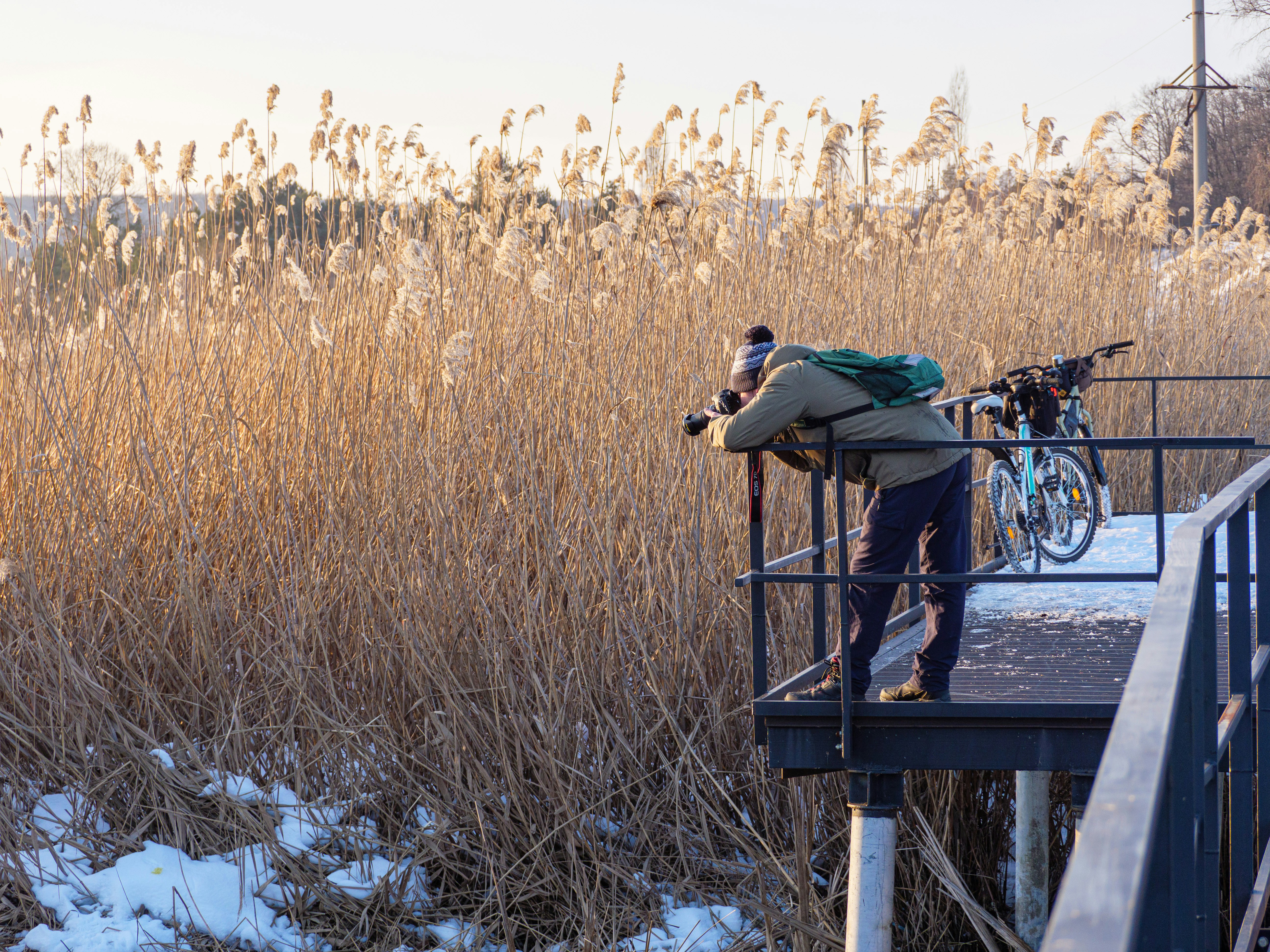 a person climbing a railing