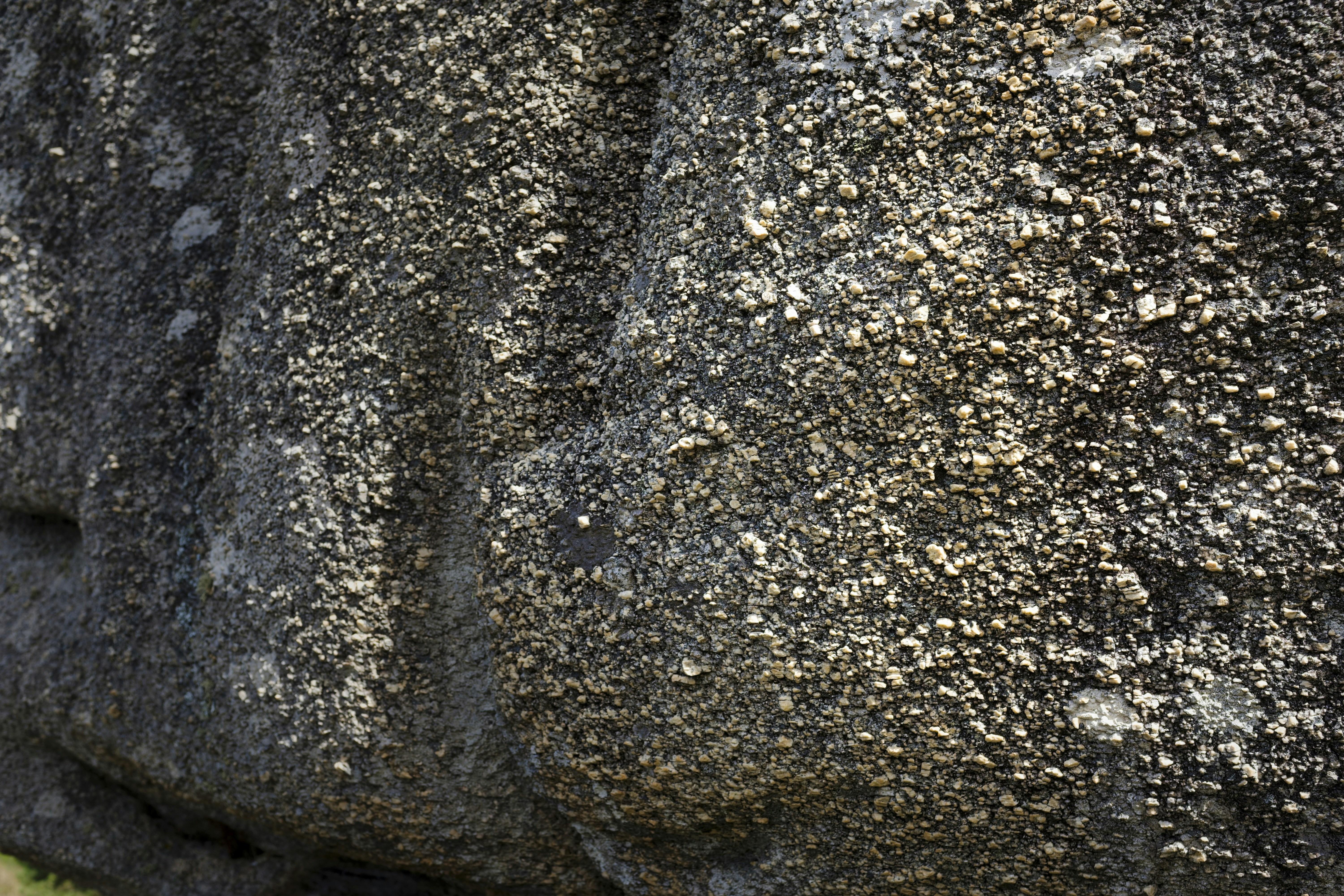 a close up of a rock