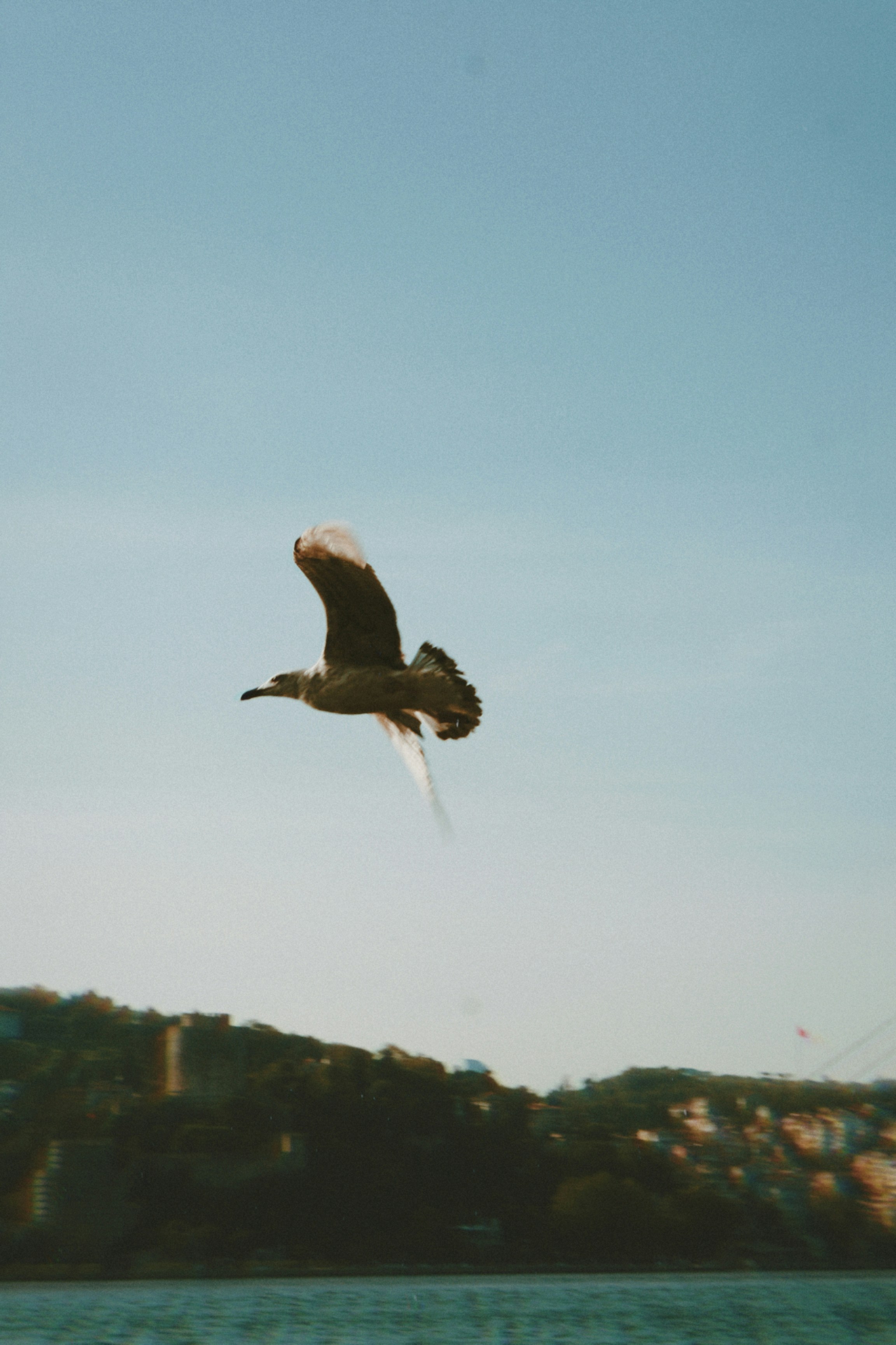 Photo by crrays