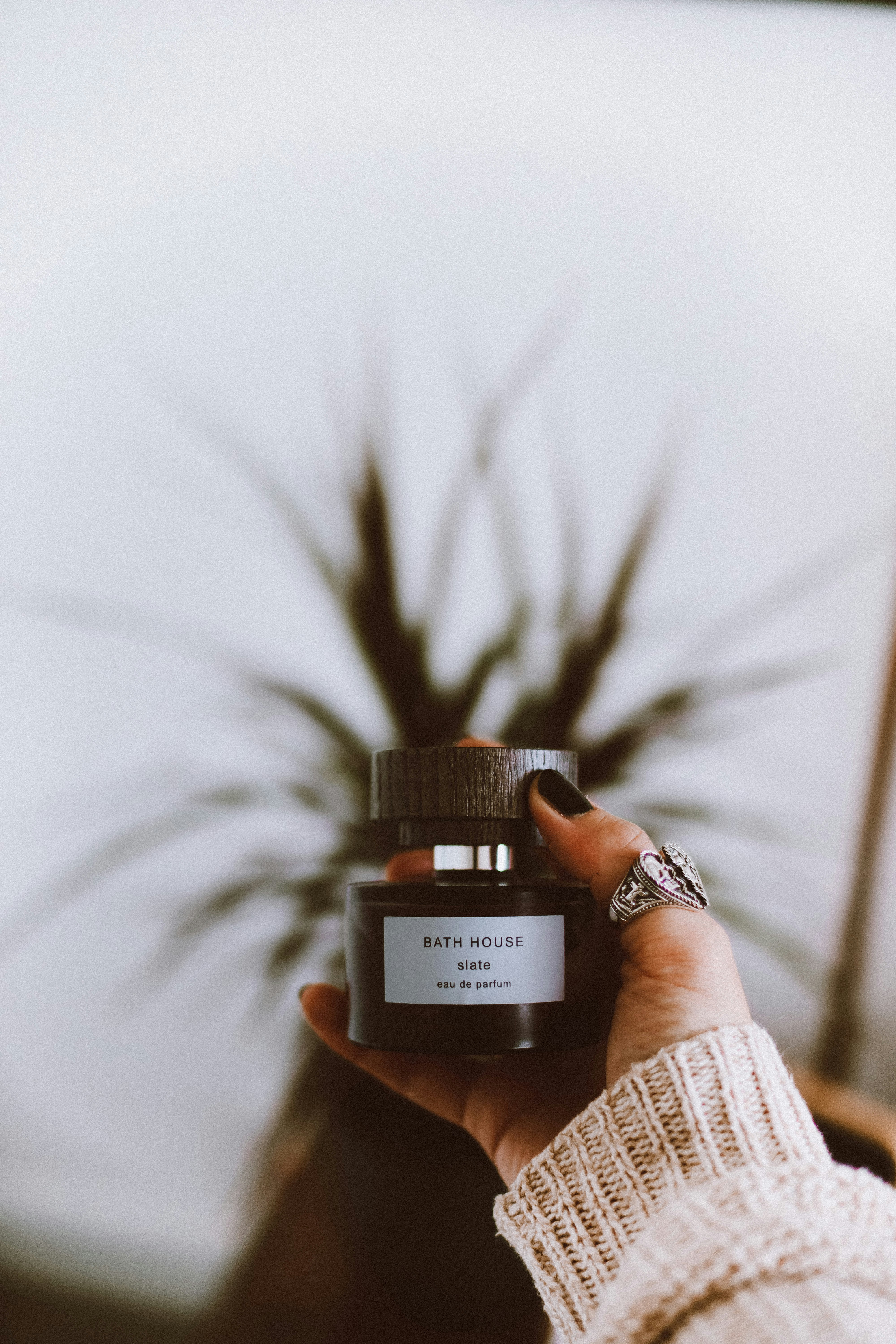 Photo by lanathegraves