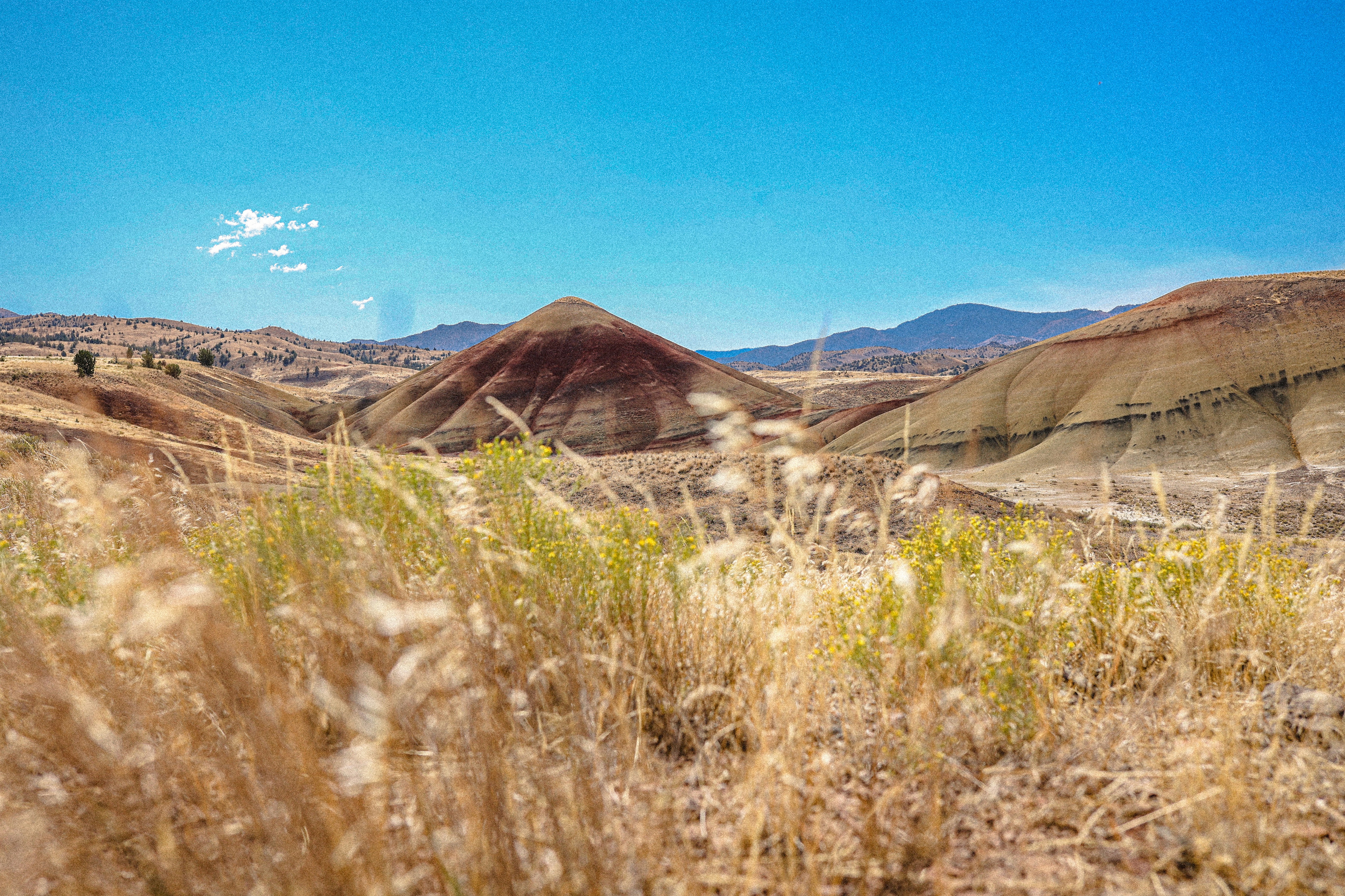 John Day Photos Télécharger des images gratuites sur Unsplash