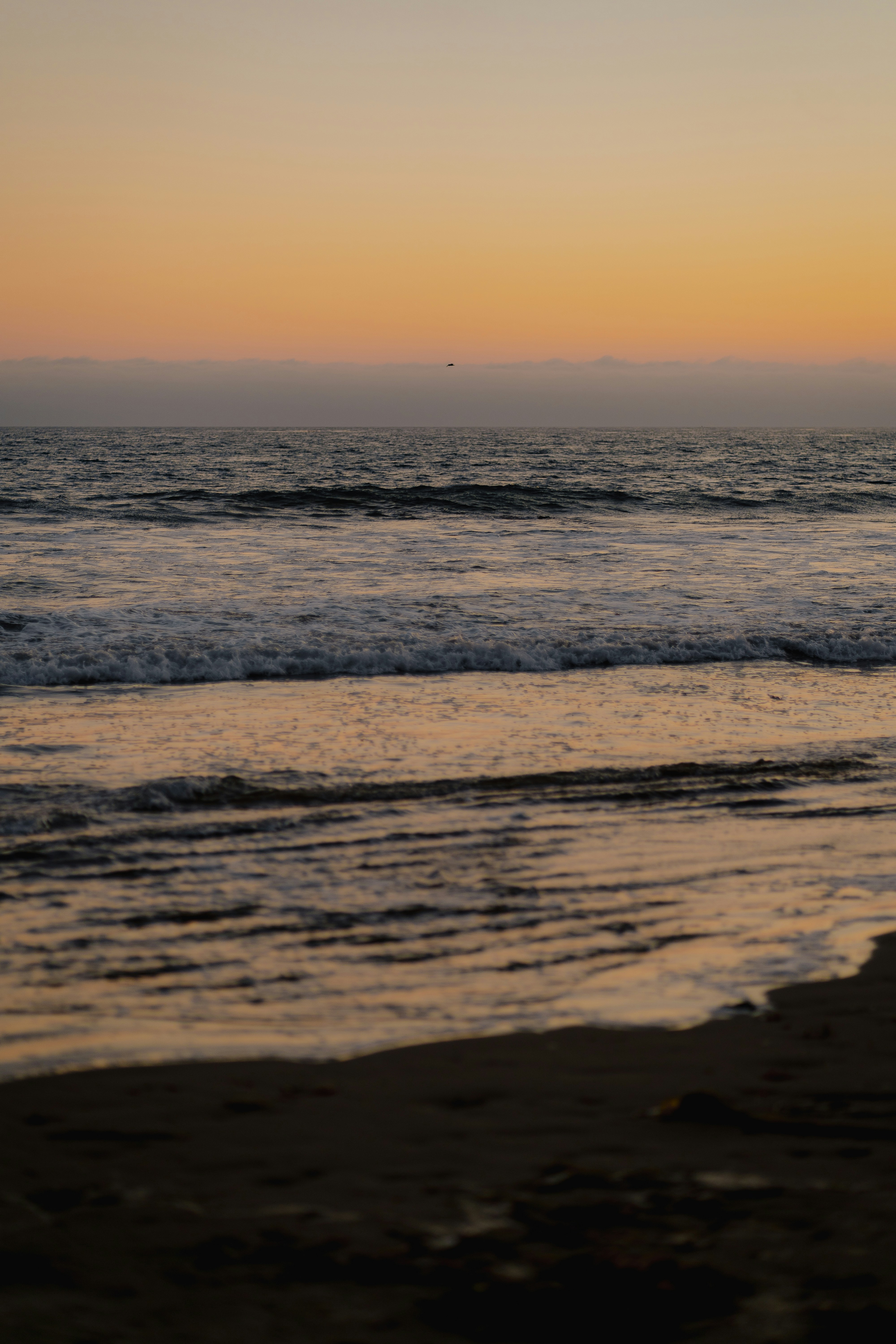 Photo by kalaniparker