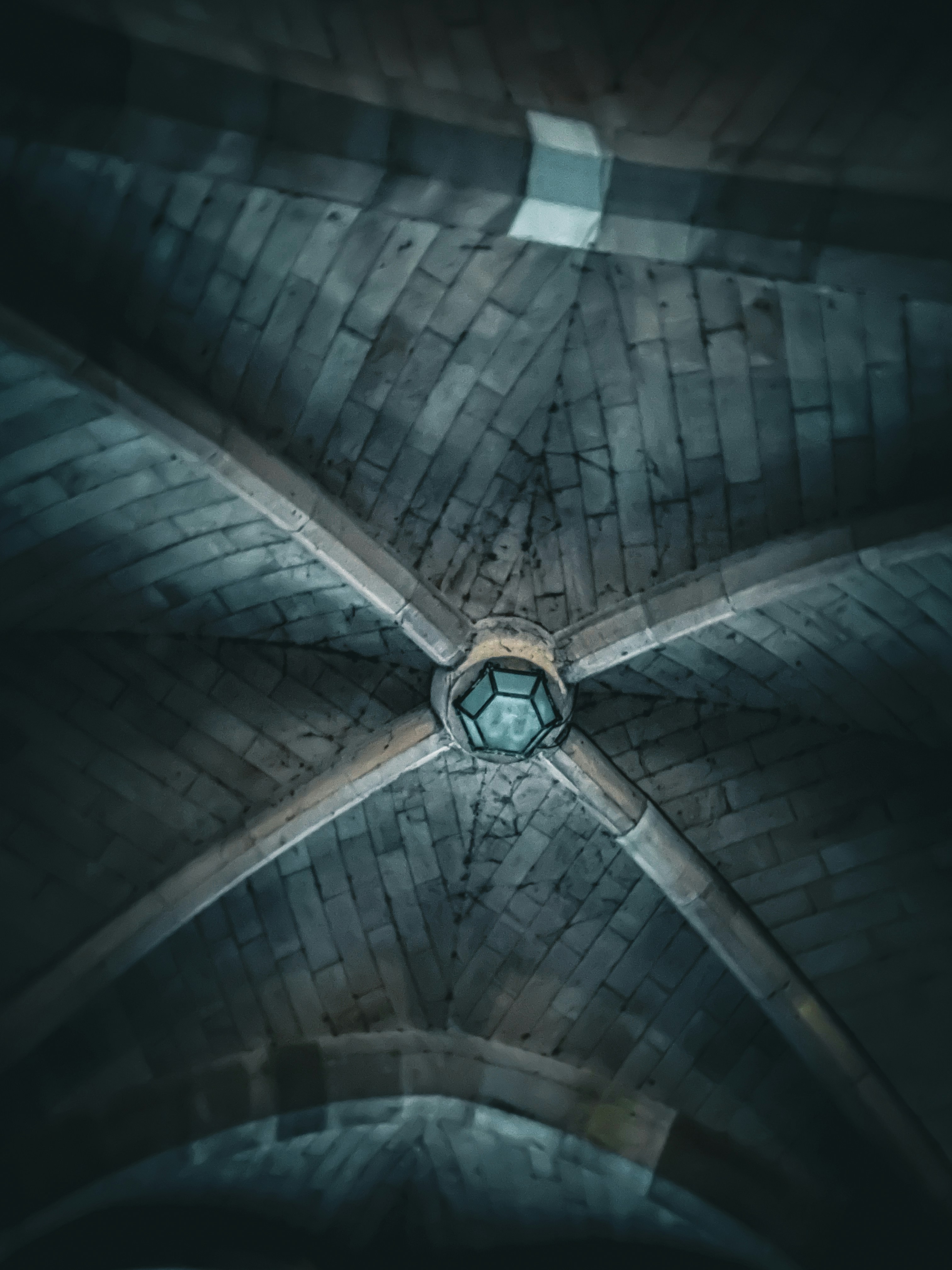 Photo by photographically_pleasing