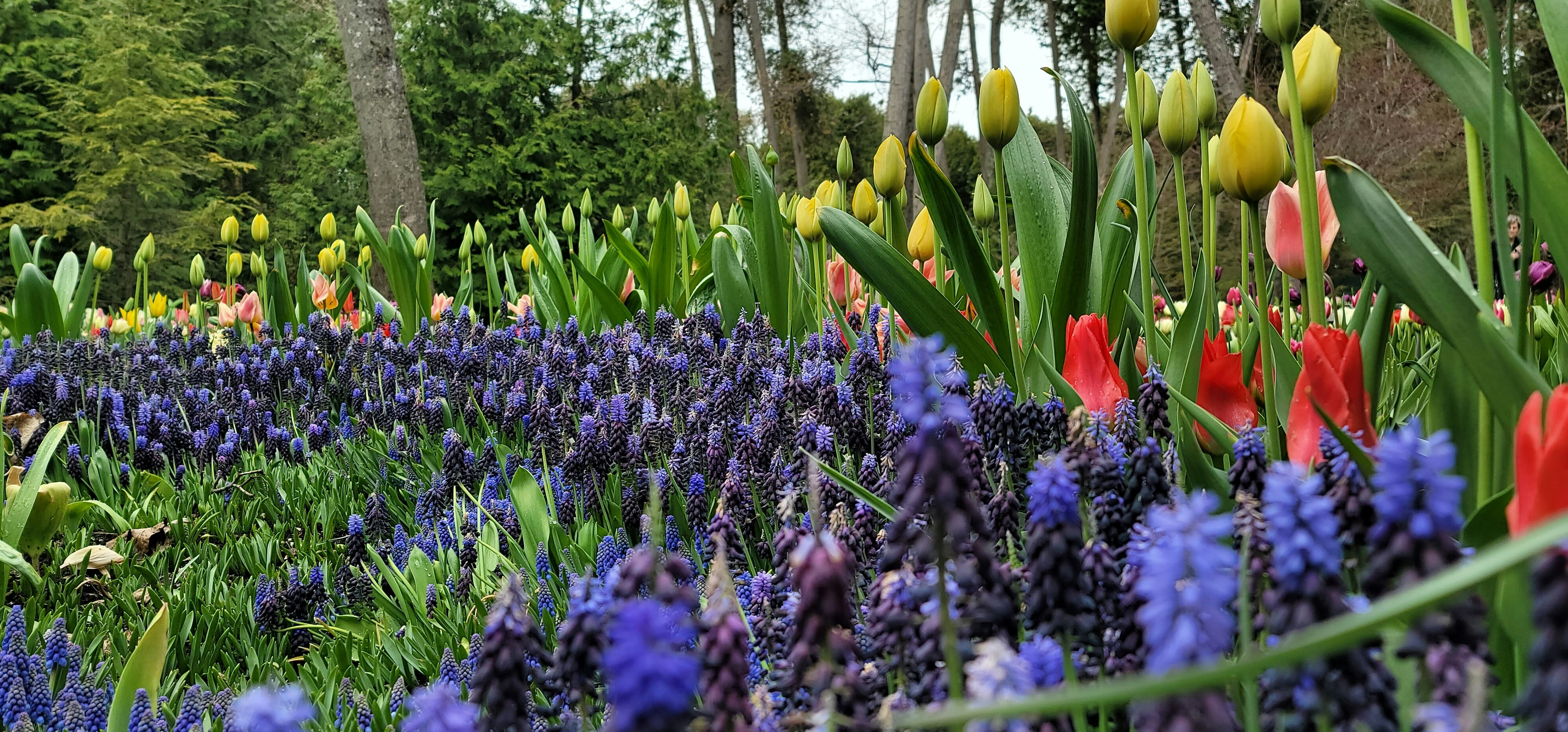 Grand Island, NE, United States cover image