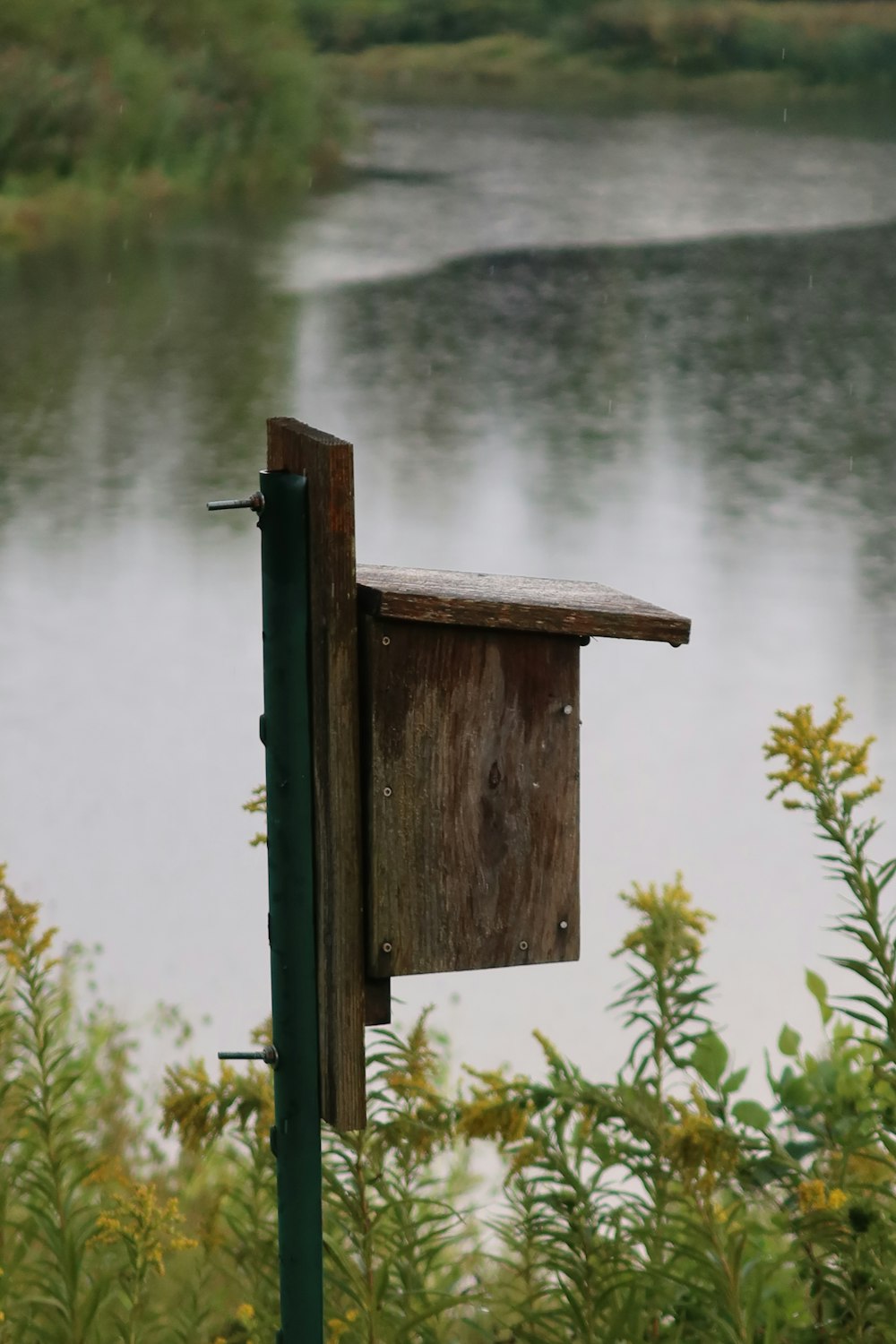 a birdhouse in a pond