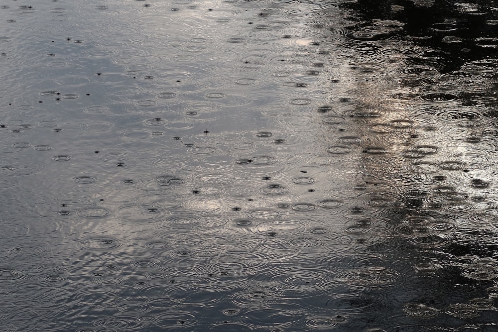 a wet surface with ripples