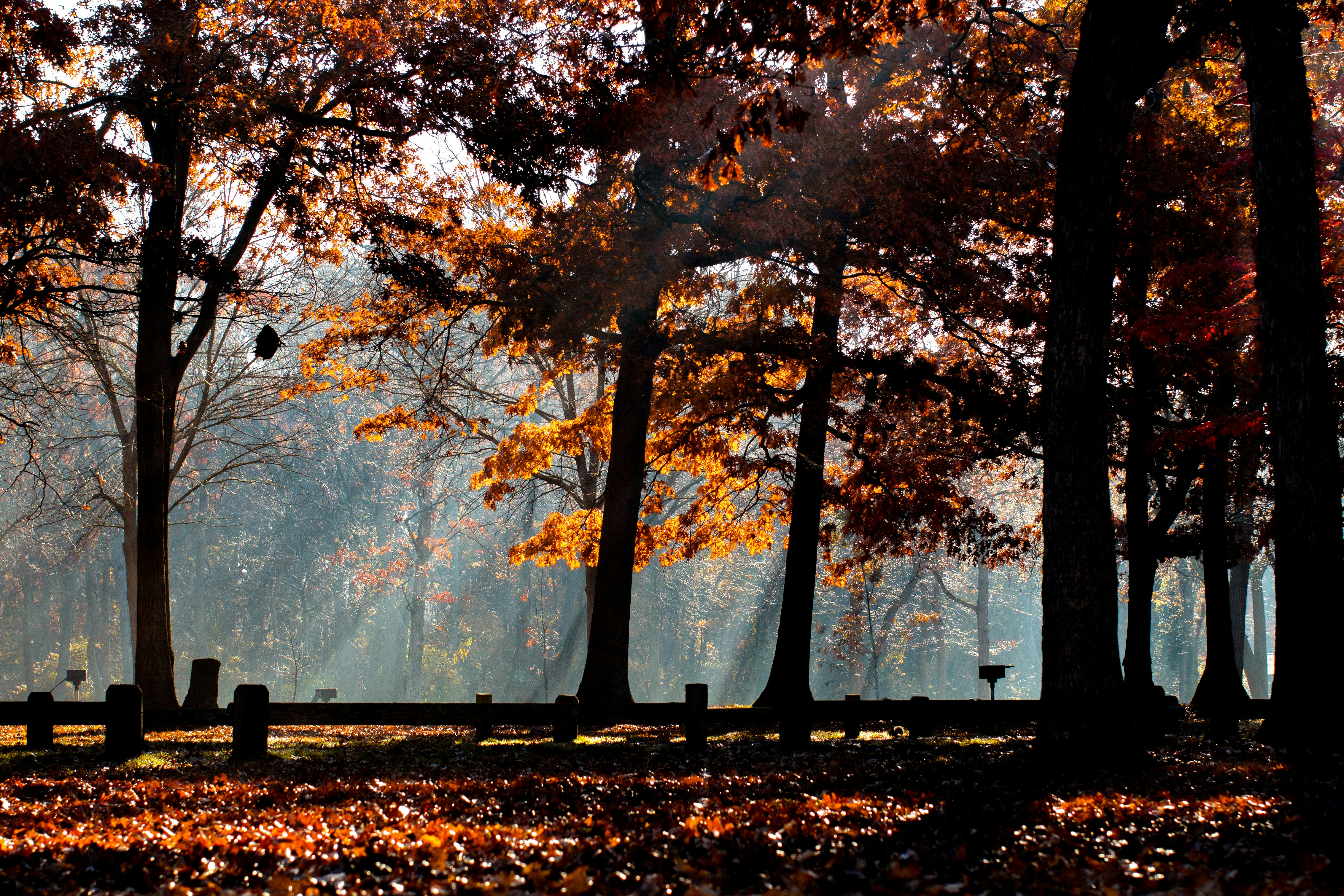 Photo by emmanuelphaeton