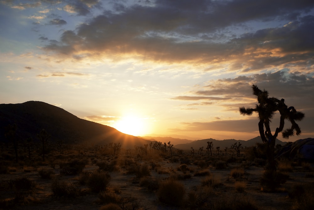 a desert landscape with a sunset