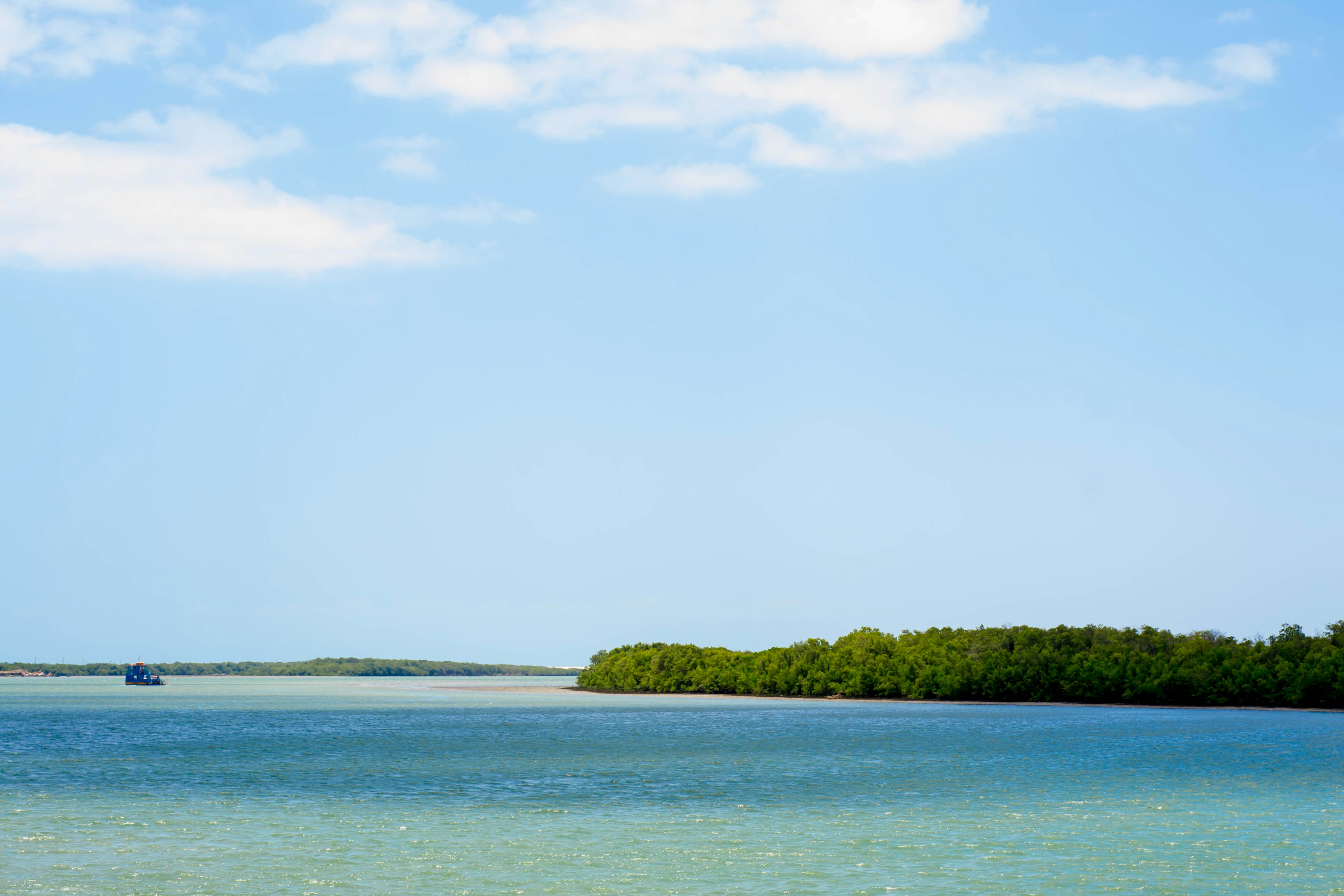 Photo by patriciosouza