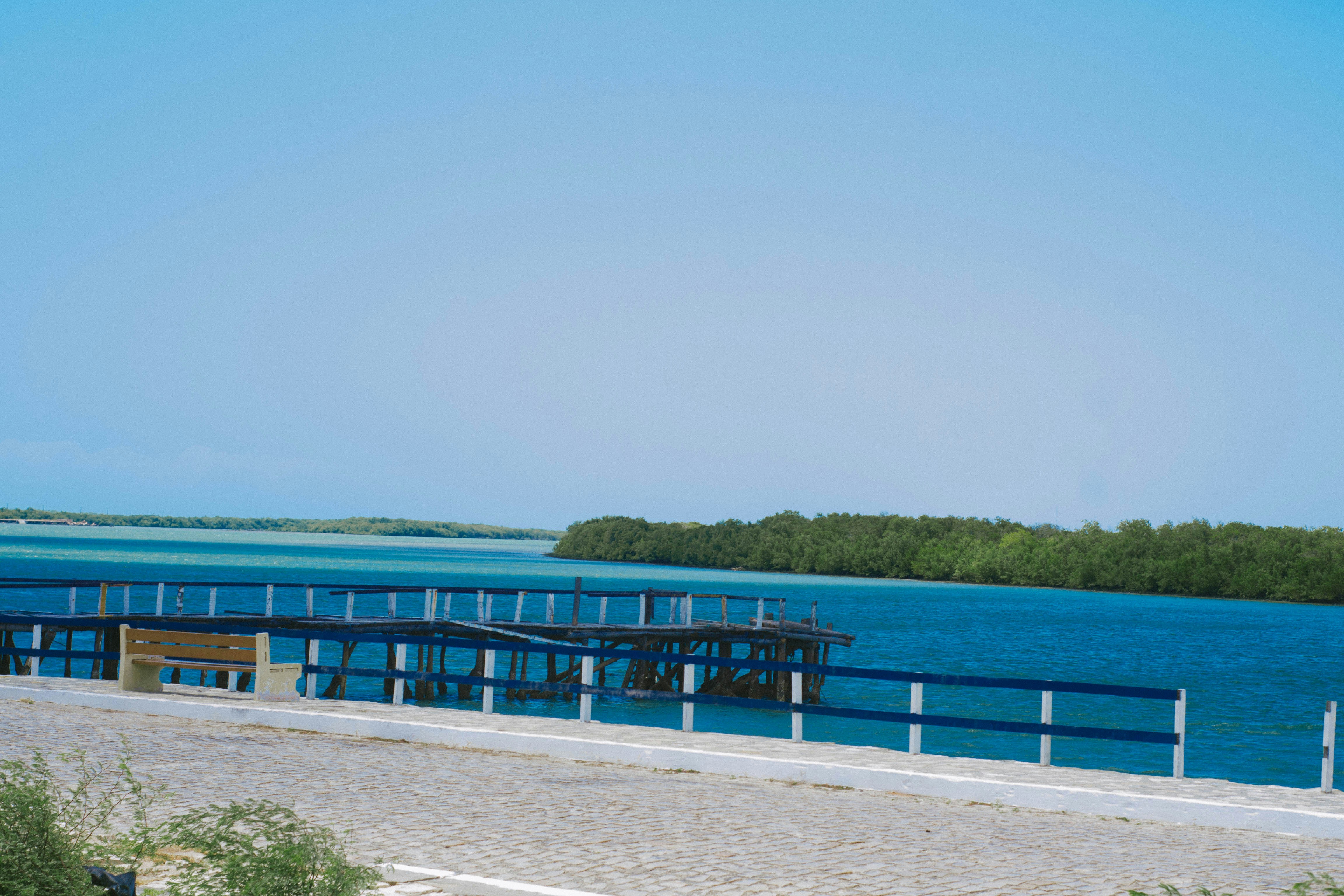 Photo by patriciosouza