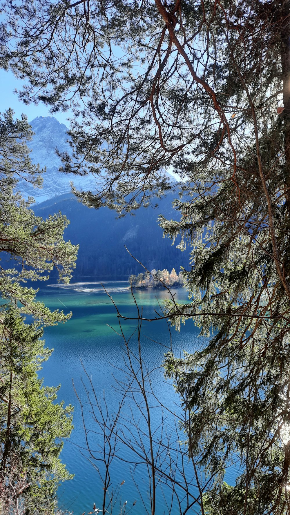 a body of water with trees around it