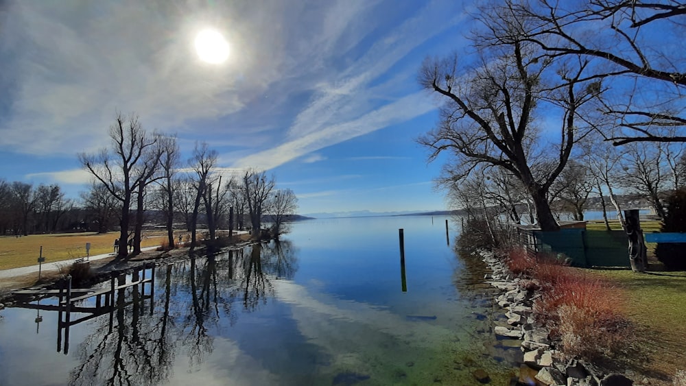 a body of water with trees and grass around it