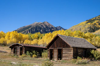 a couple of wooden buildings in a field with trees and mountains in the background