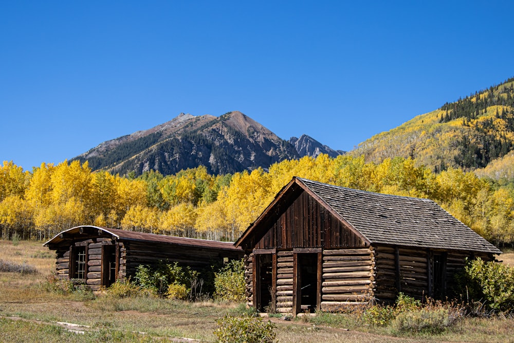 a couple of wooden buildings in a field with trees and mountains in the background