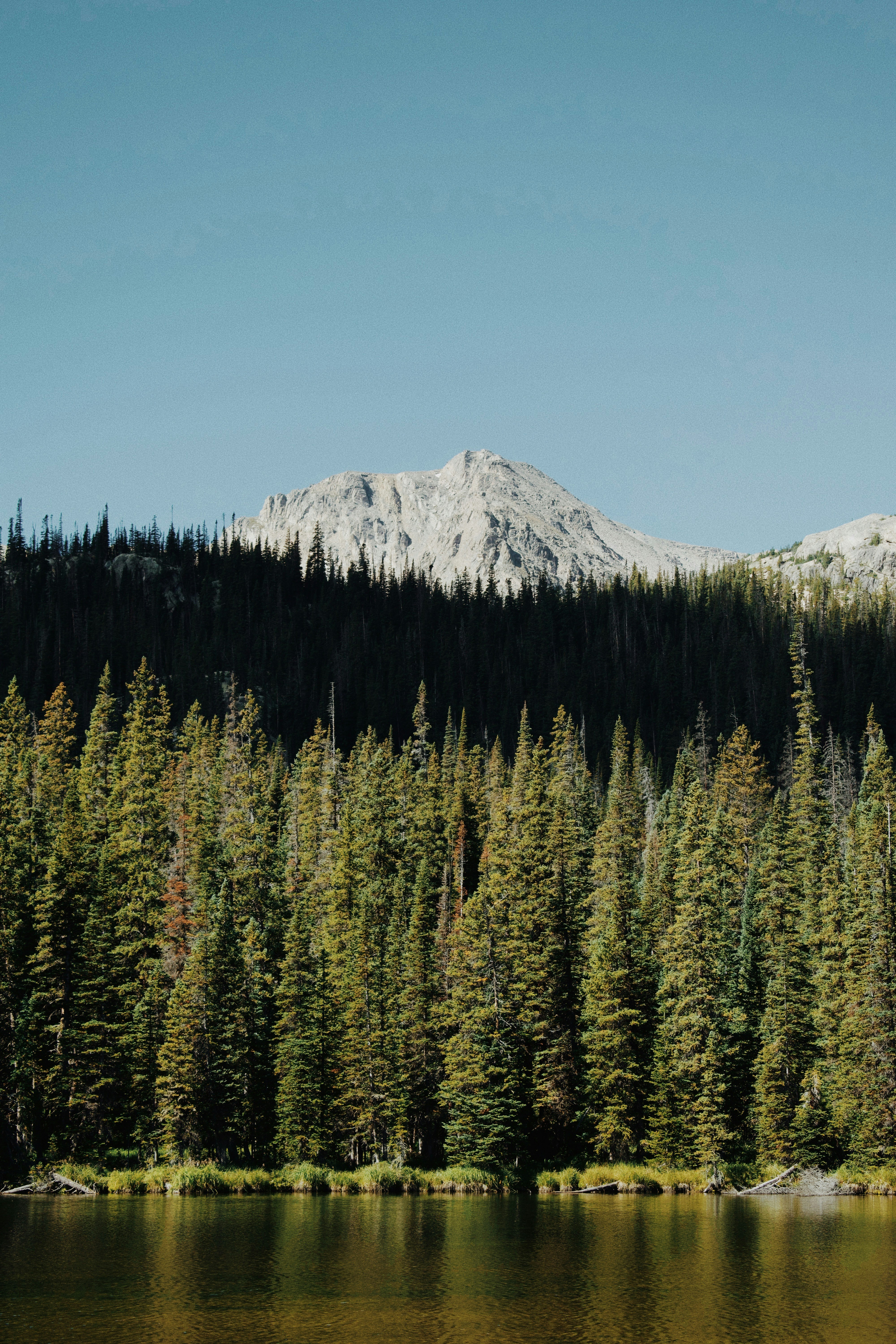 Photo by kylespalinger97