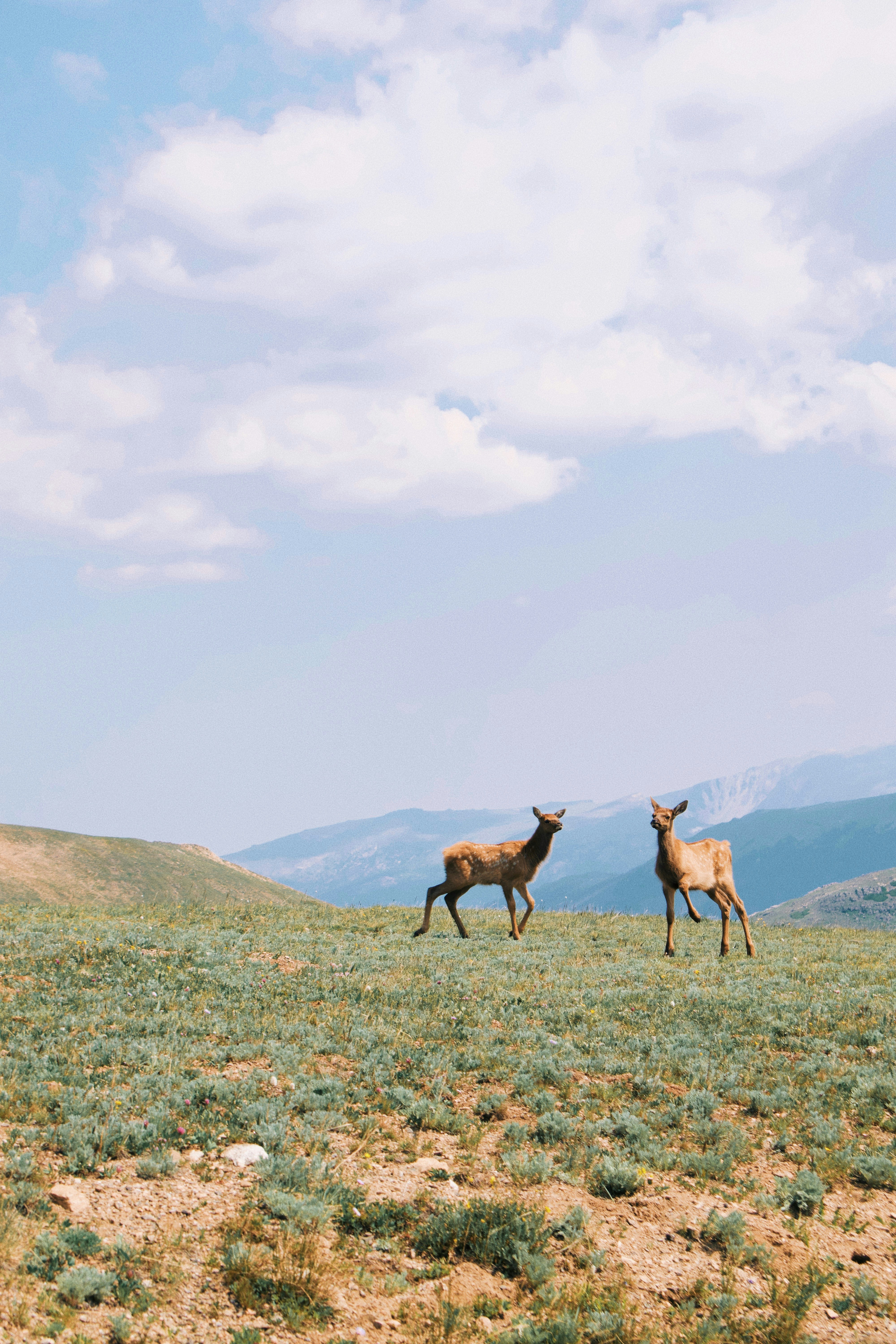 Photo by kylespalinger97