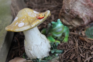 A whimsical garden scene with a ceramic frog next to a large ceramic mushroom with a yellow cap and white spots. A small ladybug figurine is perched on top of the mushroom. The background includes natural elements like rocks and mulch, adding to the garden feel.