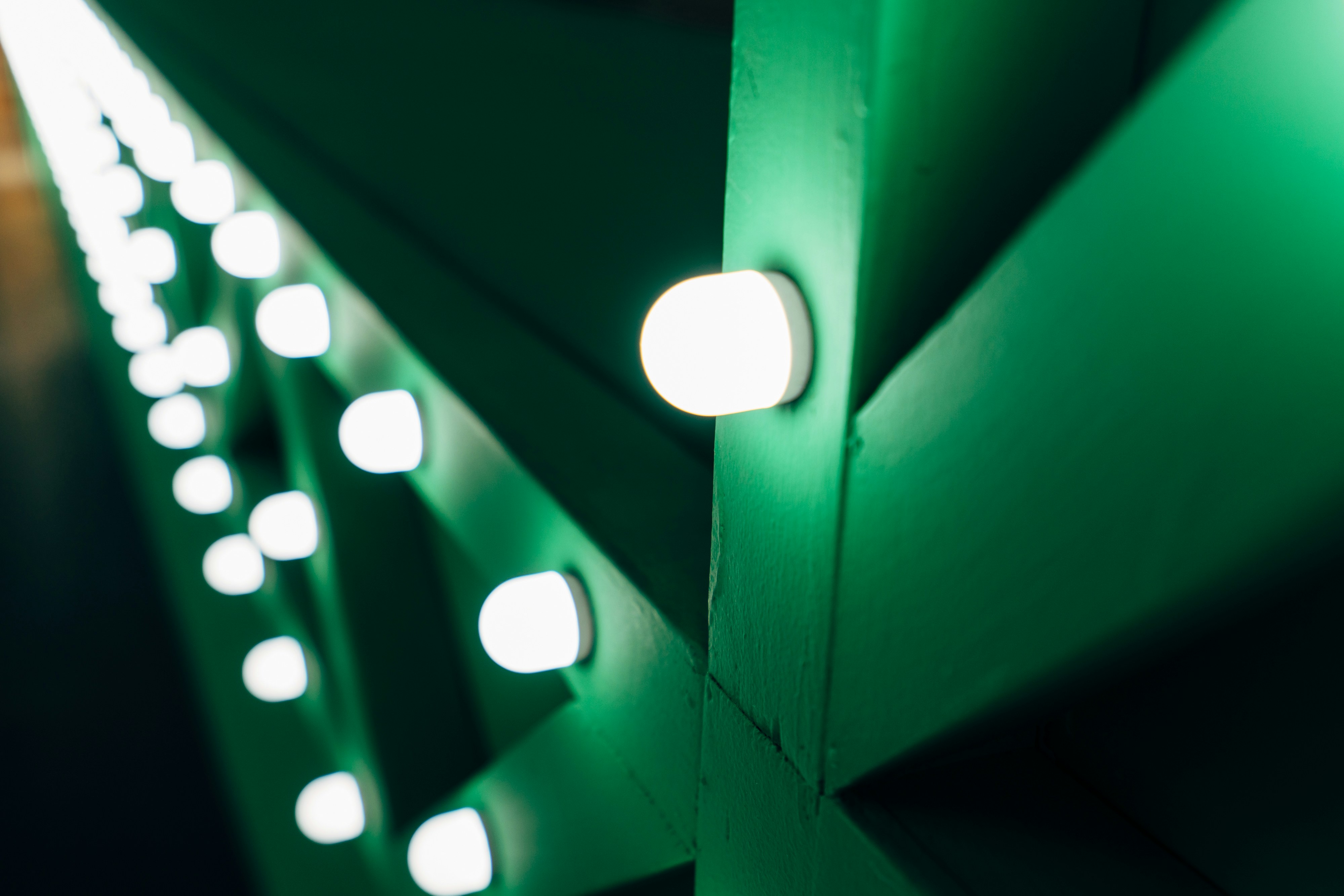 a close up of a green leaf